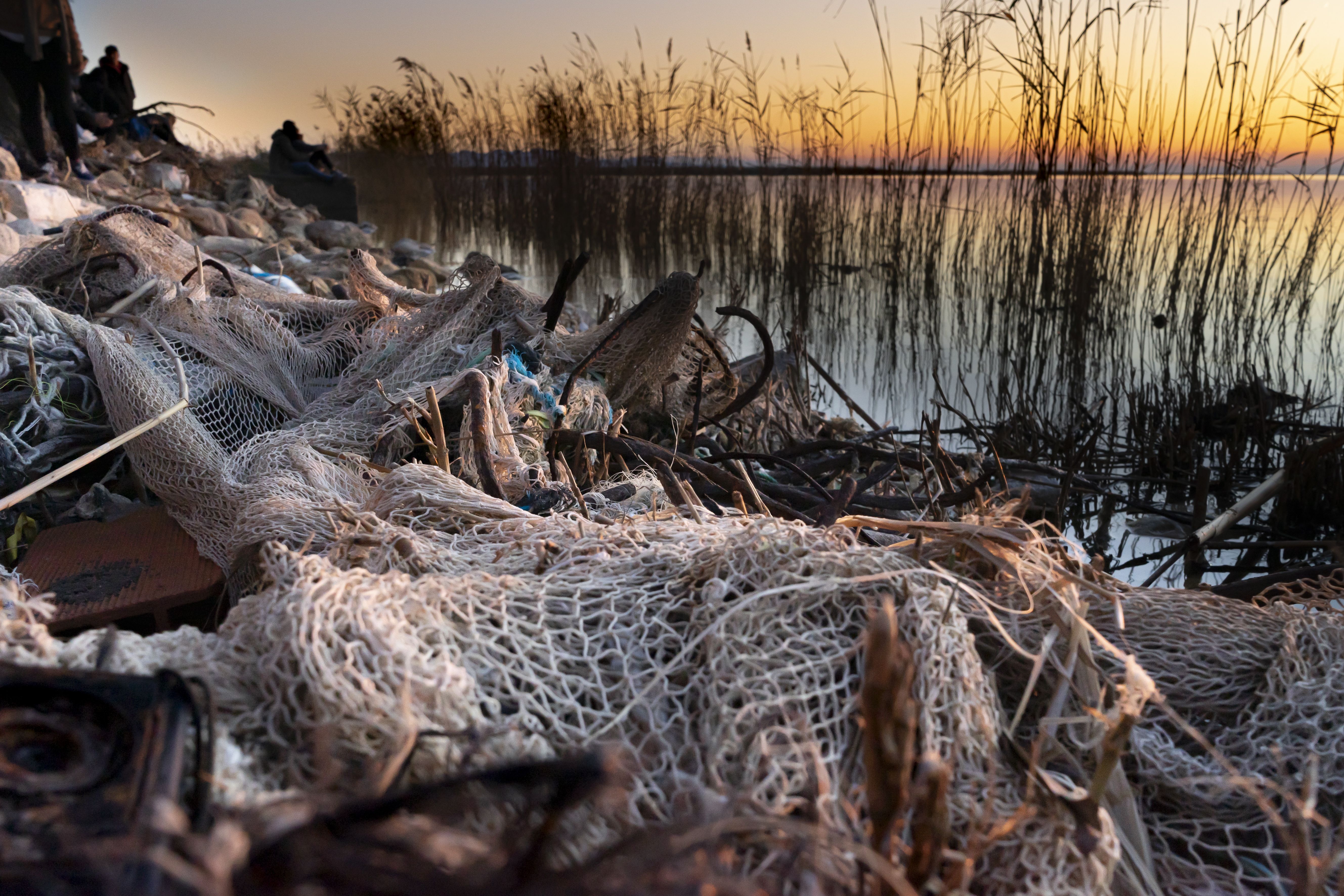 'Albufera contaminada', imagen ganadora del concurso de fotografía Mostra del Canvi (Mónica Romero)