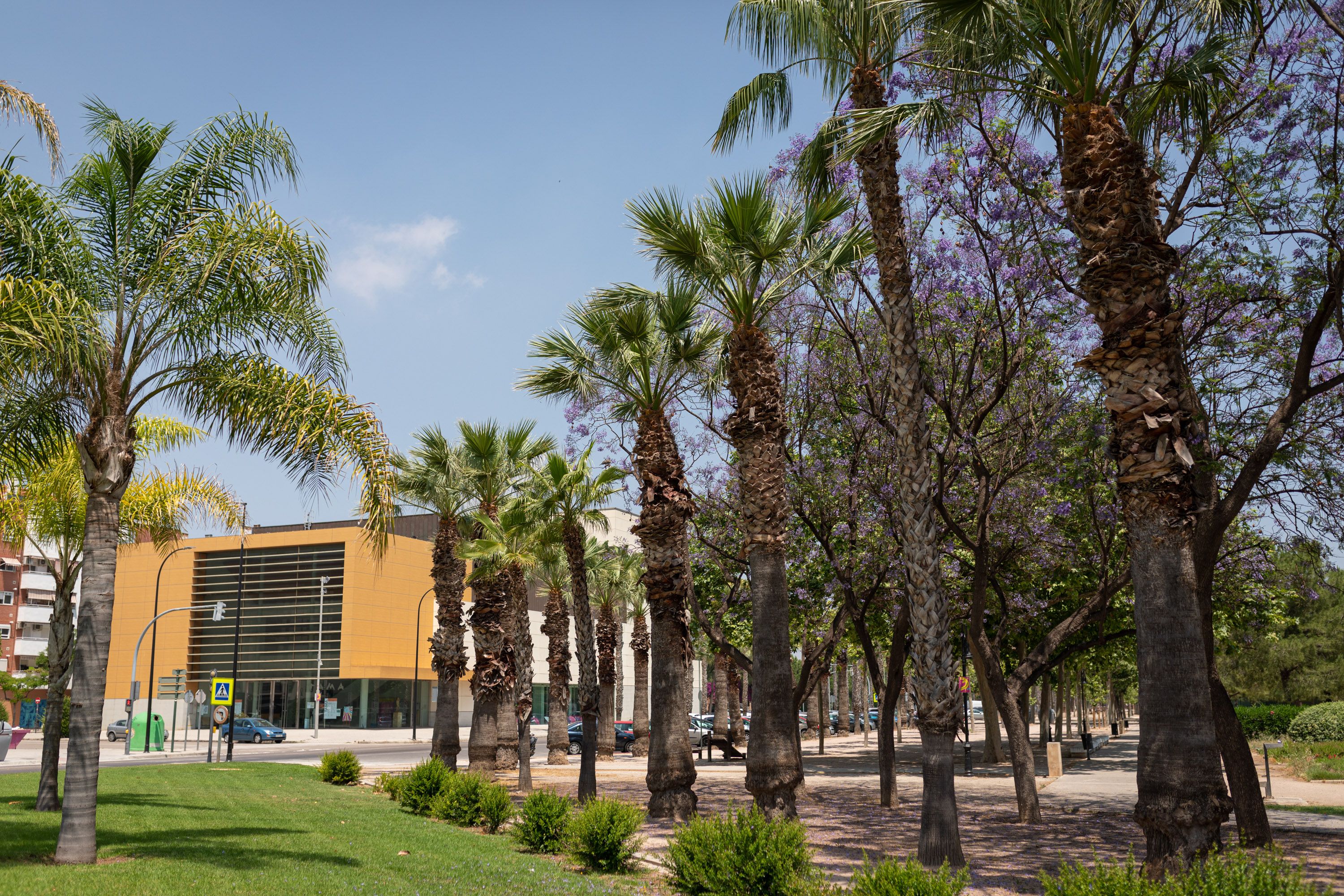 'Cinturón Verde' d'Aldaia