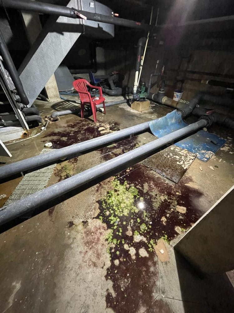 Estat de la Piscina Trafalgar de València