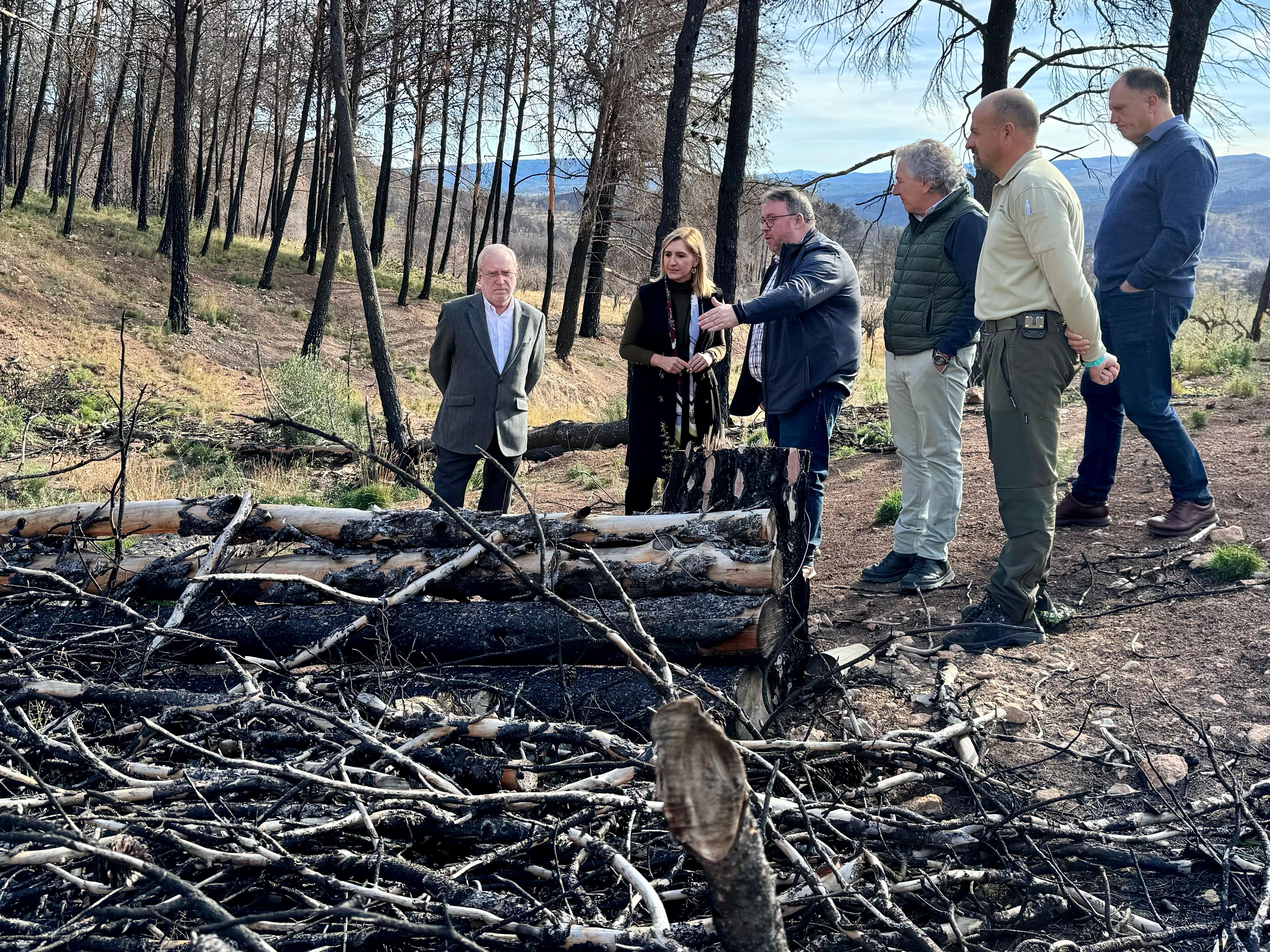 Pradas visita los terrenos afectados por el incendio de Bejís del verano de 2022