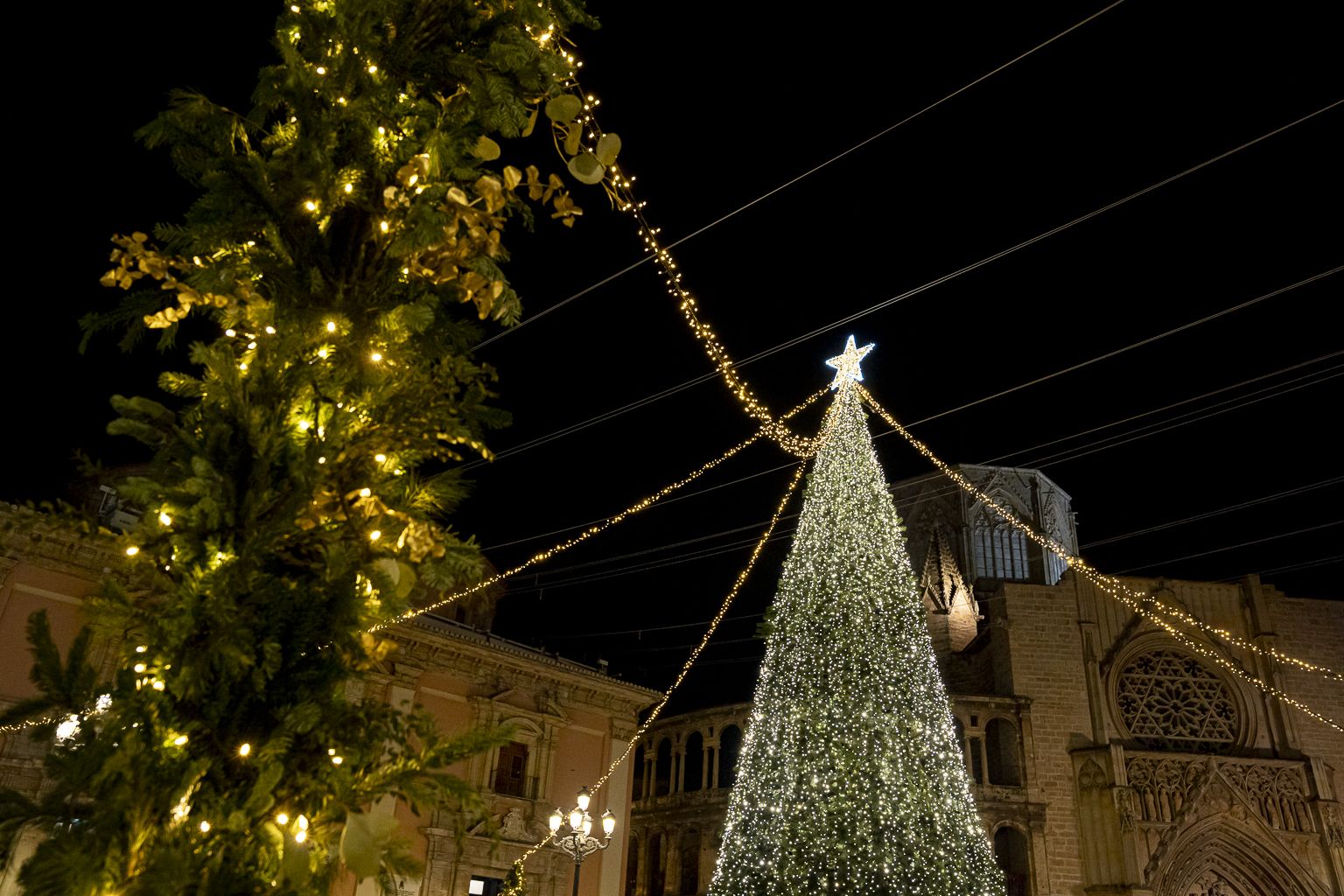 Árbol de Navidad de la plaza de la Virgen de València. Imagen: Xisco Navarro