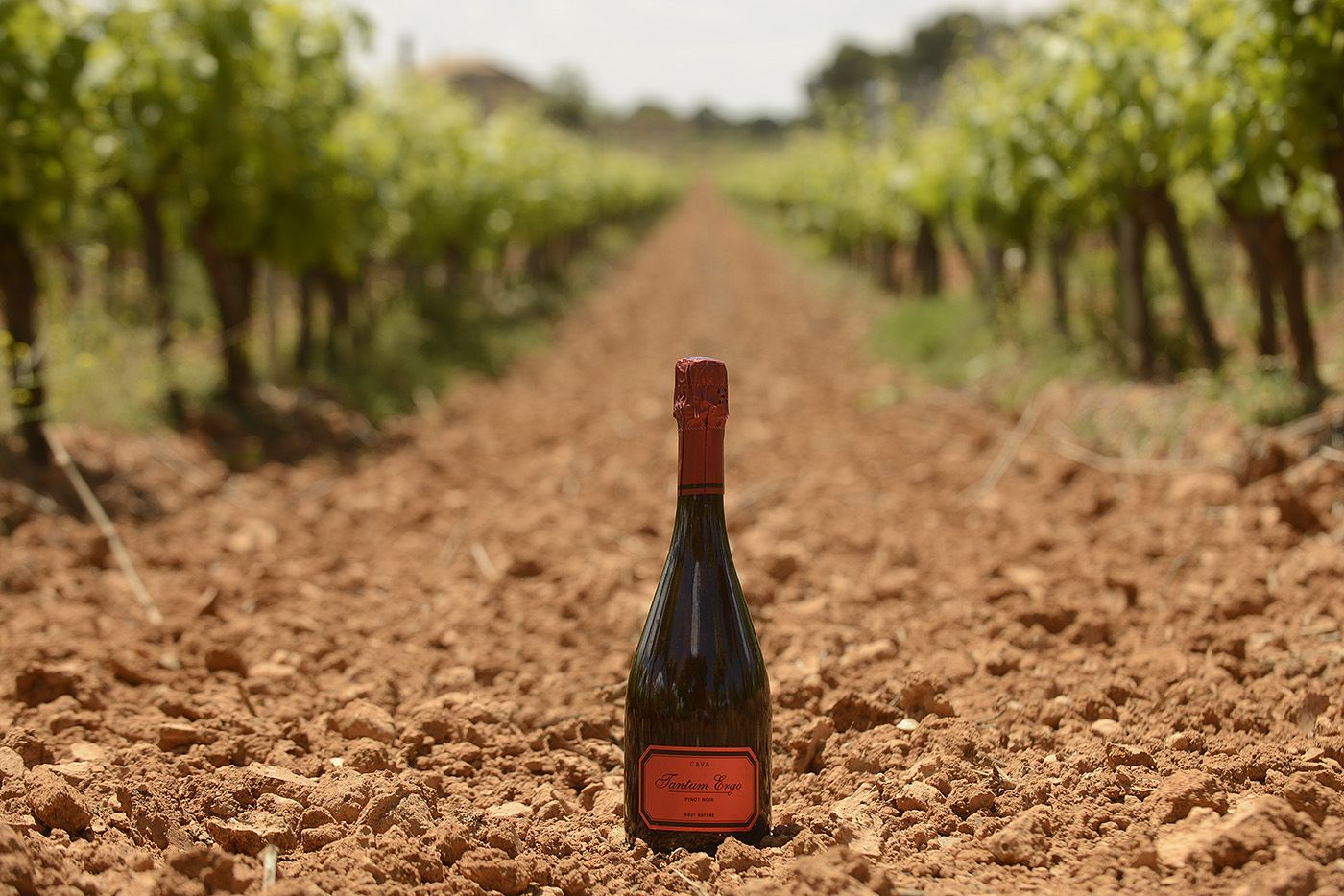 'Tantum Ergo Pinot Noir Rose' de Bodegas Hispano Suizas