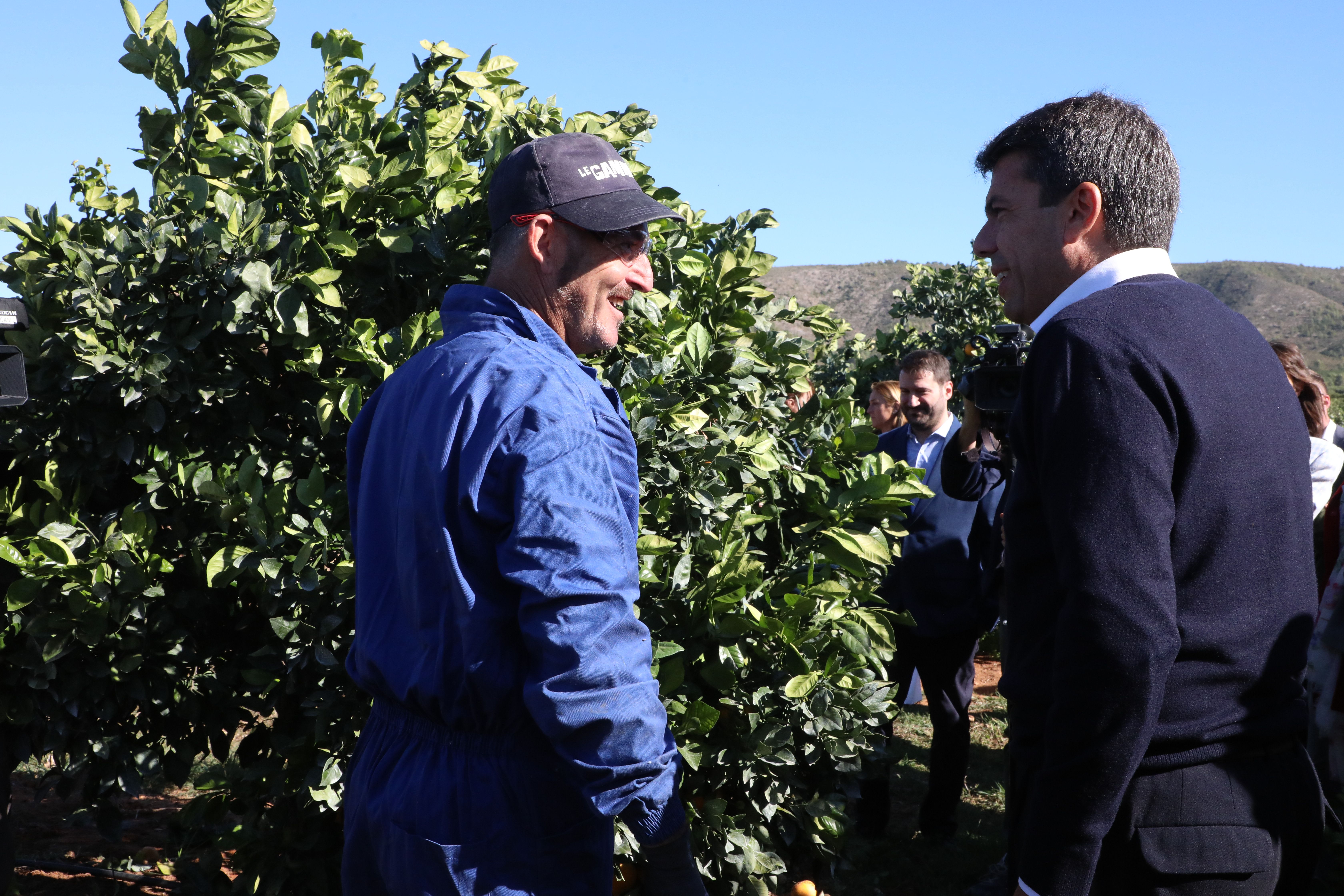 El president Carlos Mazón en su visita a un campo de la Comunitat Valenciana