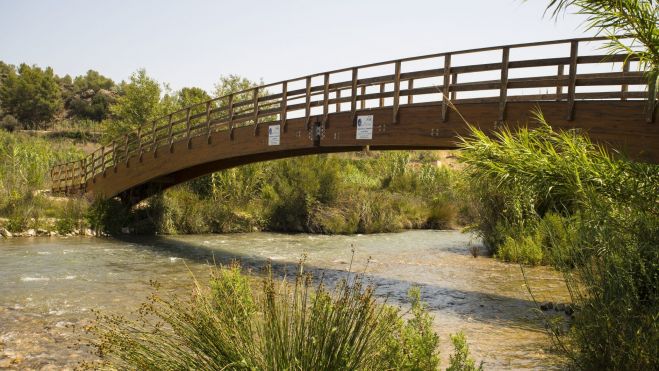 Puente en el Parque Natural del río Turia 