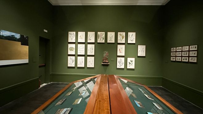 "Pinacoteca Migrante" de Sandra Gamarra Heshiki en la 60ª Bienal de Venecia