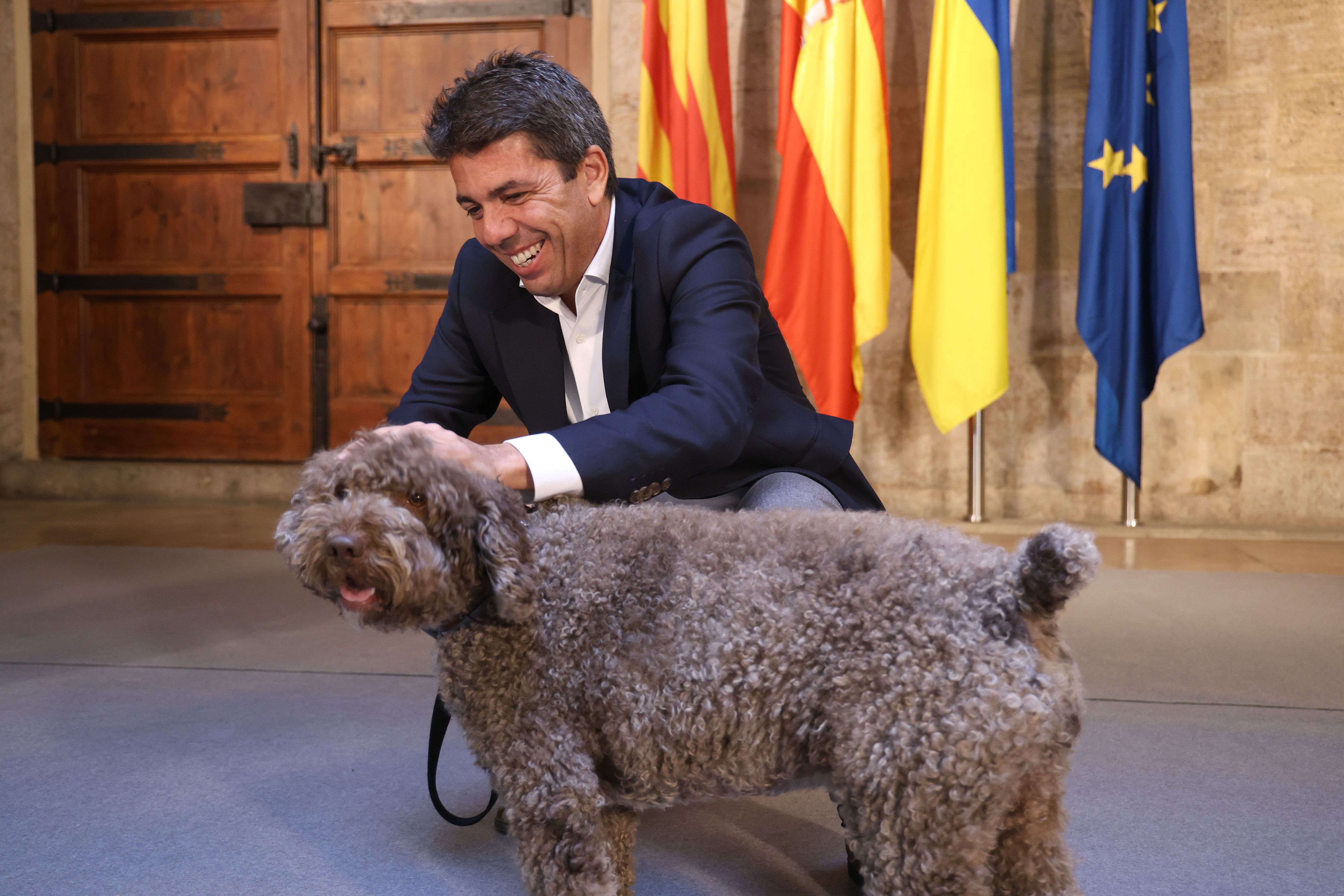 El president Carlos Mazón acaricia un gos