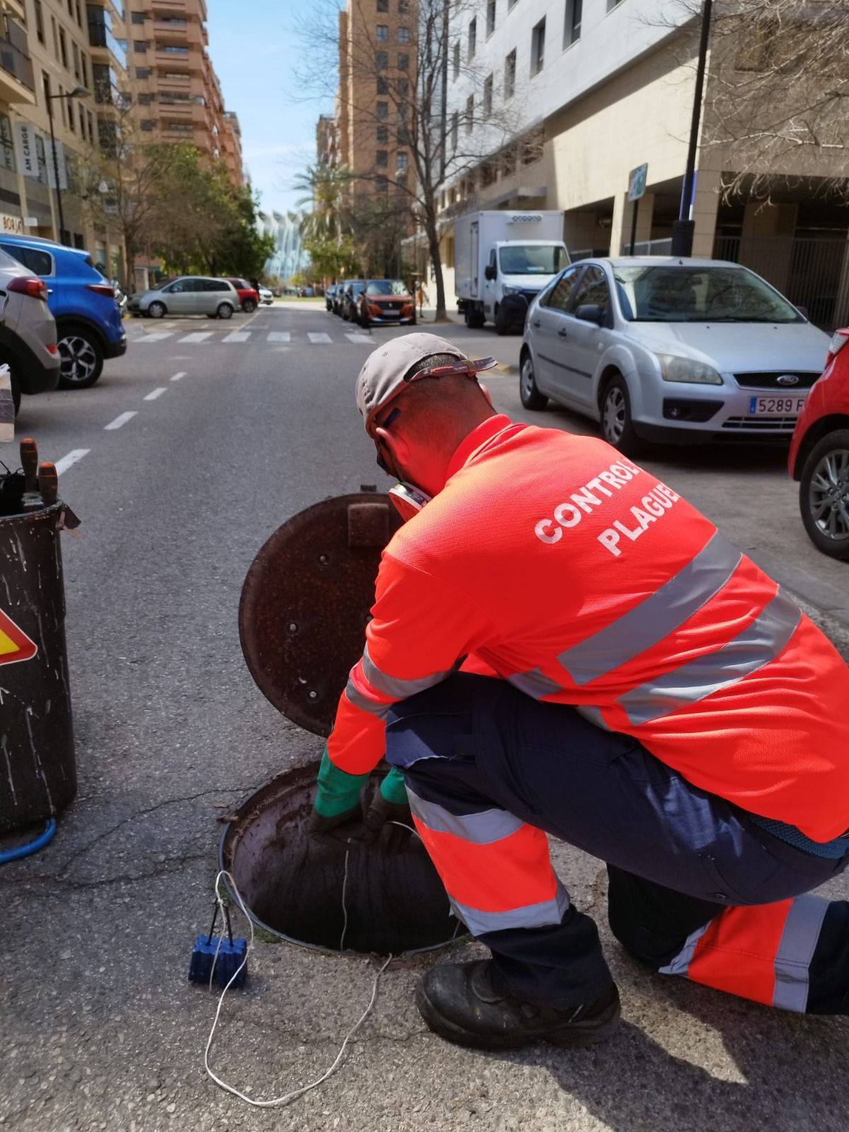 Control de plagas en Valencia