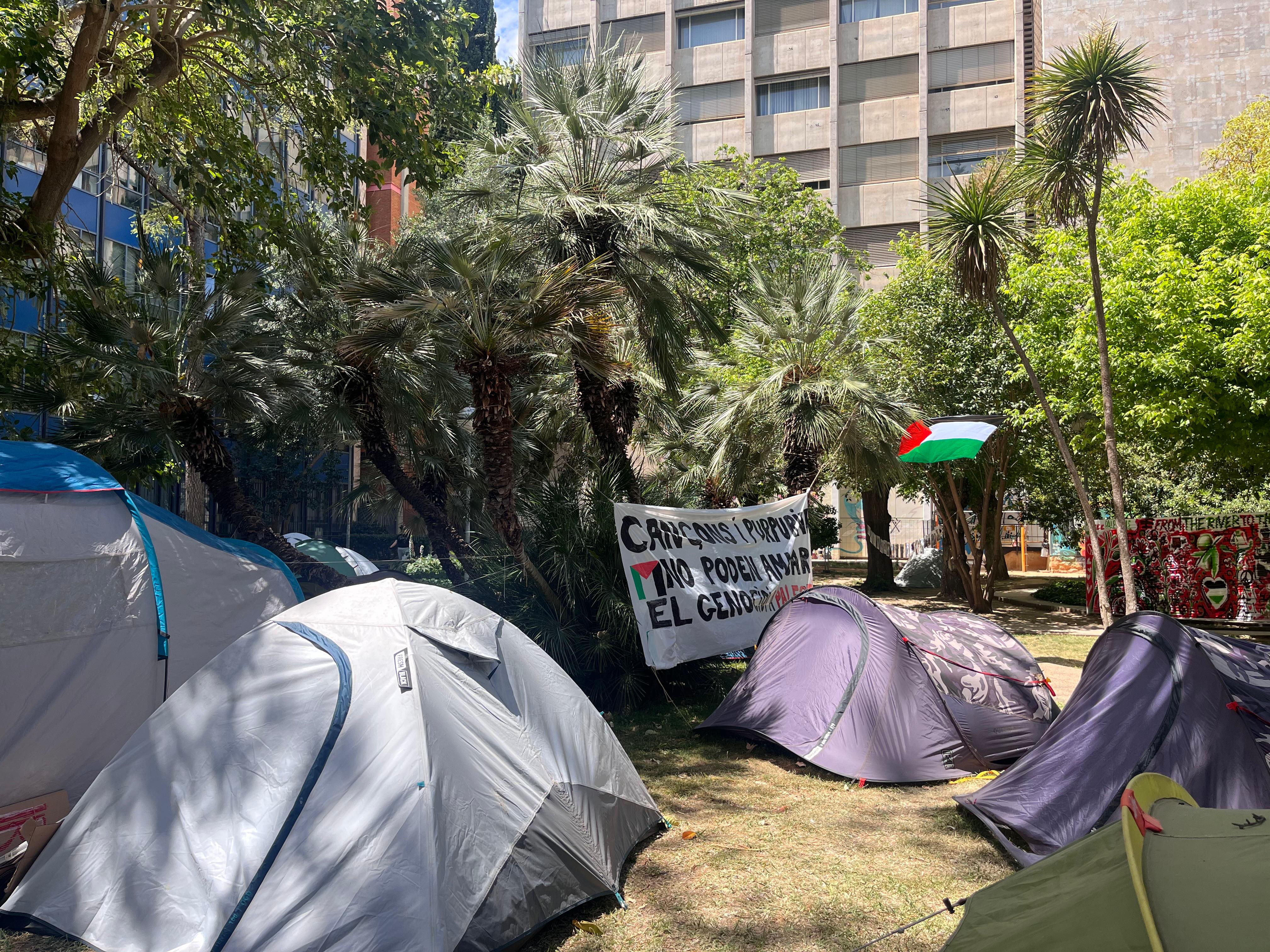 La acampada por Palestina en el jardín de la Facultad de Filosofía y Ciencias de la Educación de la UV