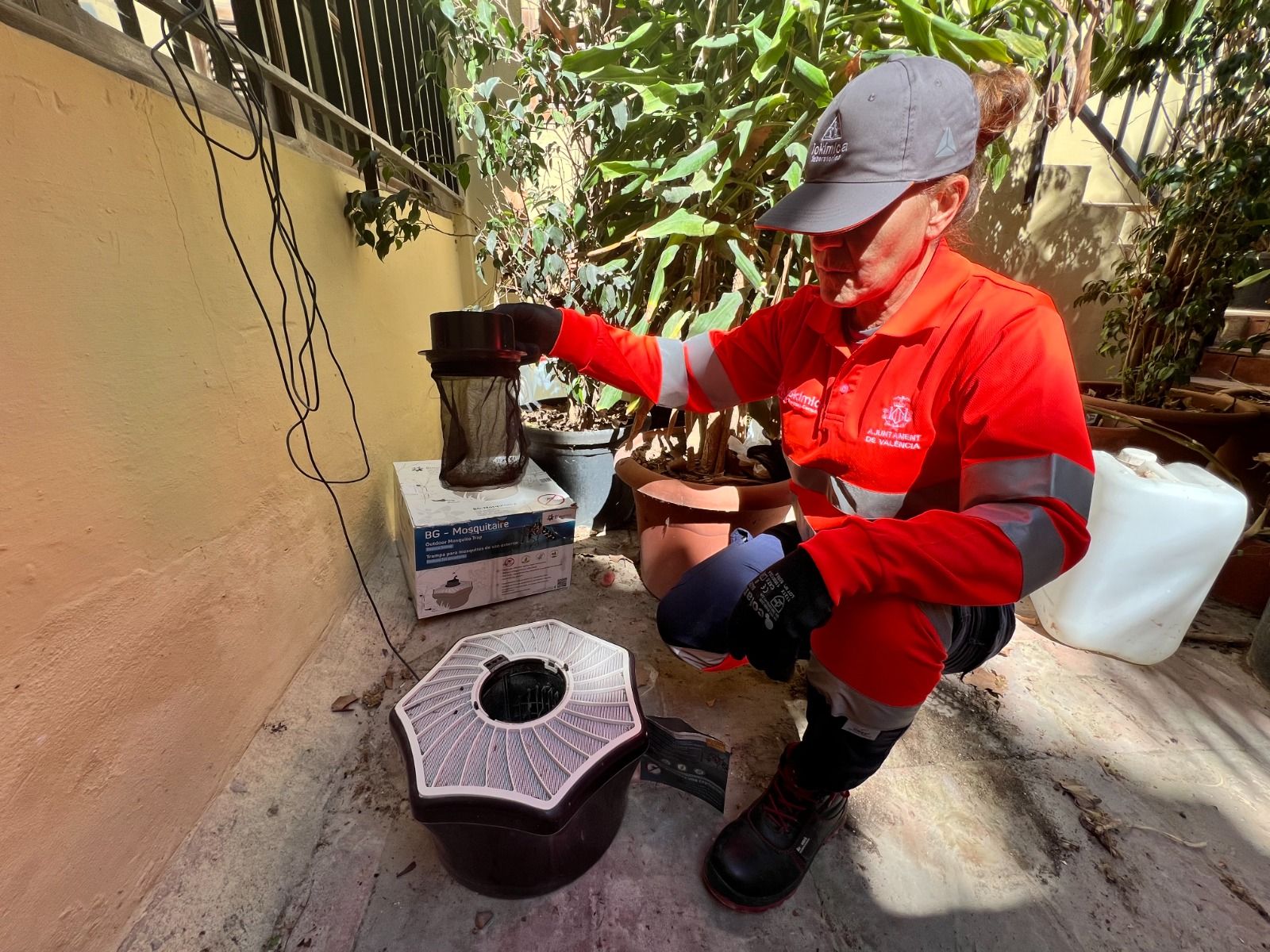 Trampas para mosquitos