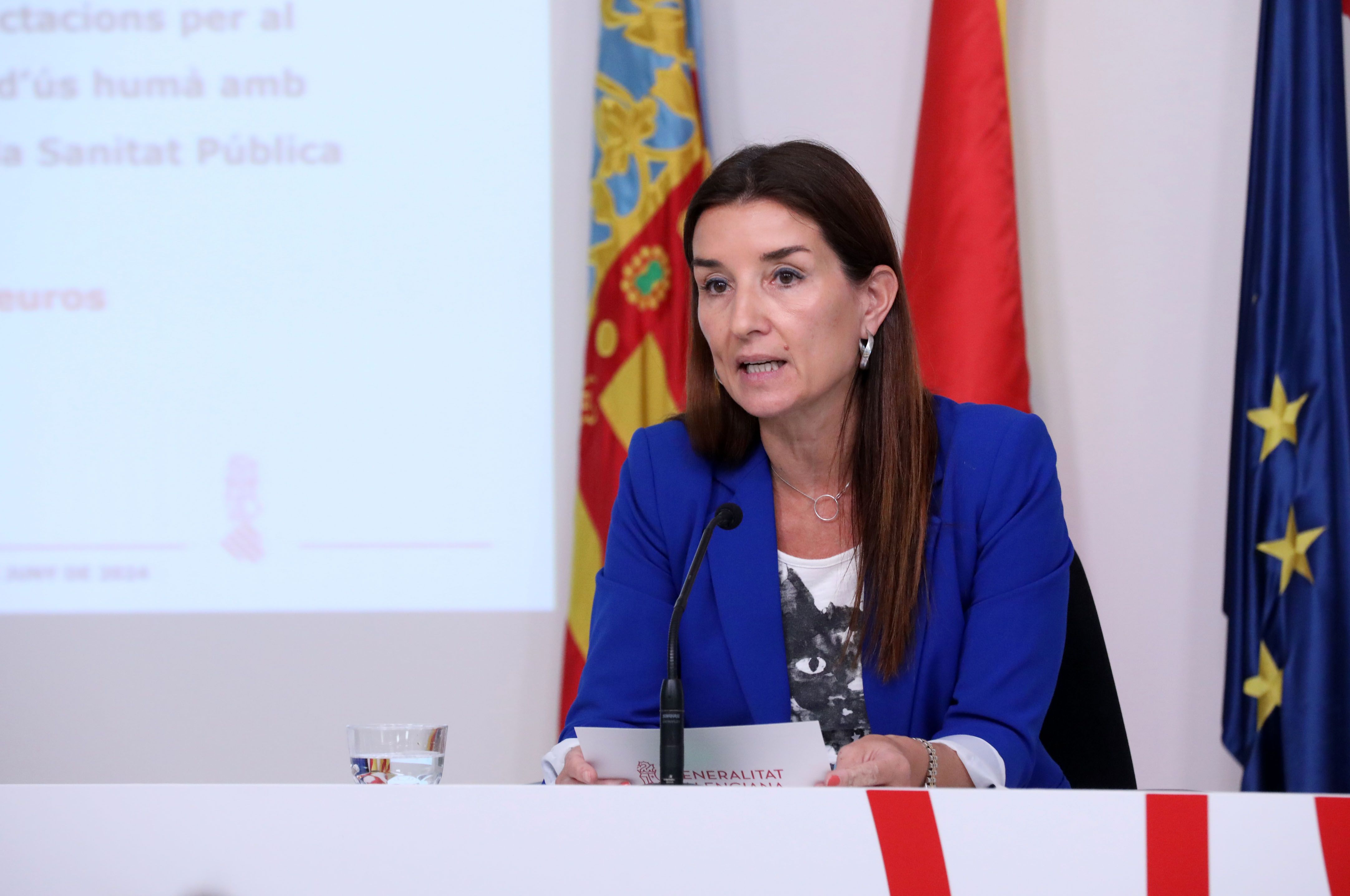 La portaveu del Consell, Ruth Merino