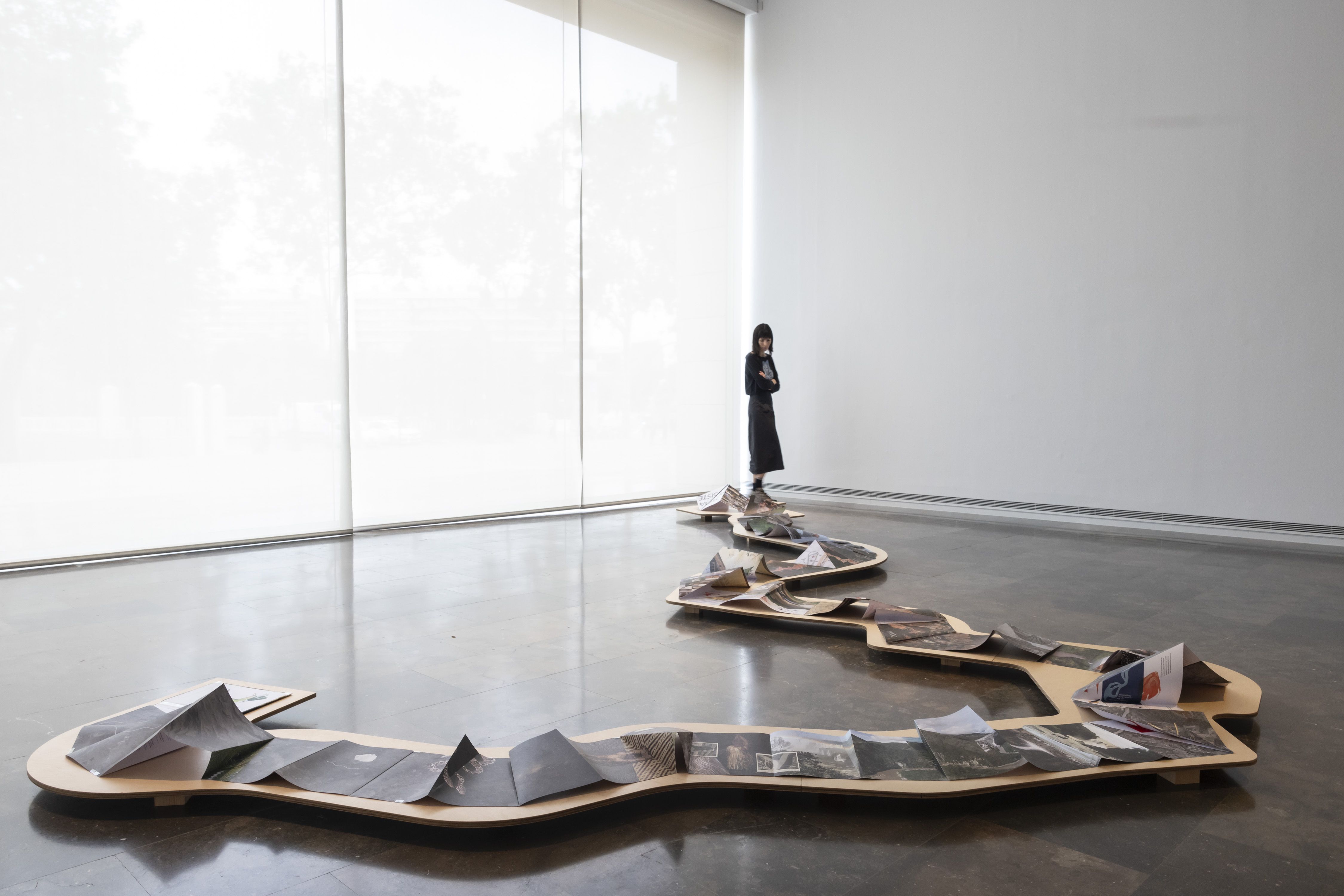 exposición de Carolina Caycedo 'Tierra de los amigos' en el IVAM (Miguel Lorenzo)