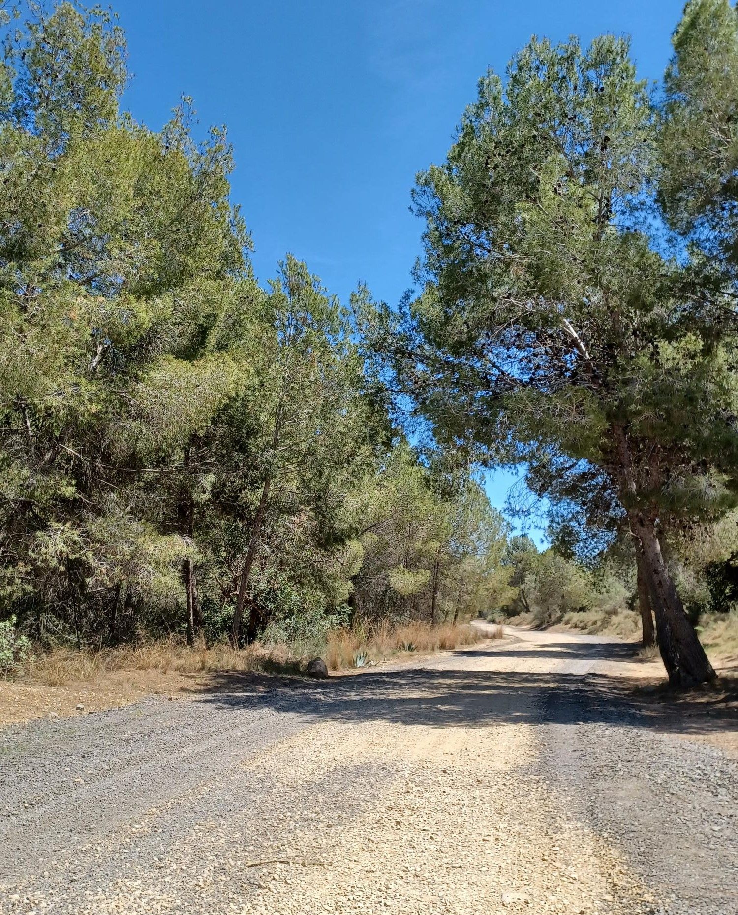 Actuacions de condicionament de camins a Paterna