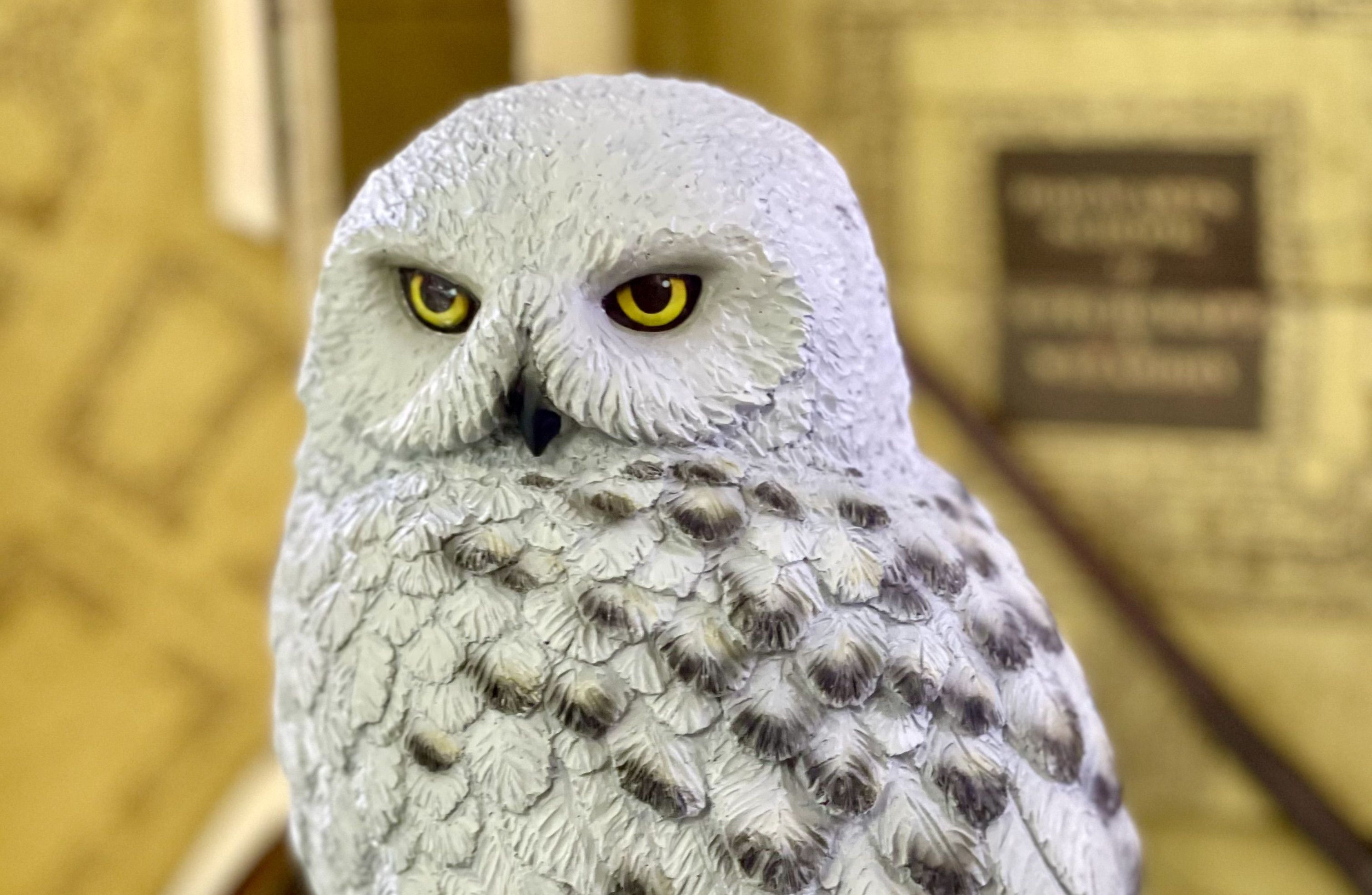 Lechuza de Harry Potter