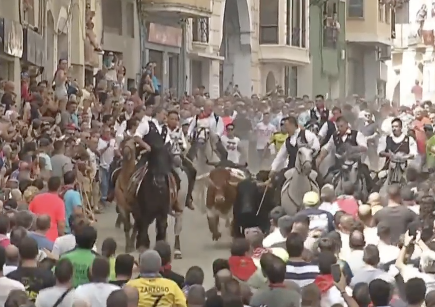 Entrada de toros y caballos de Segorbe