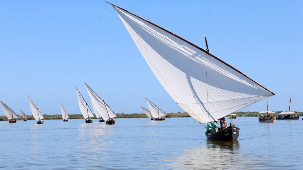 Vela Llatina en Catarroja Vela Llatina en Catarroja