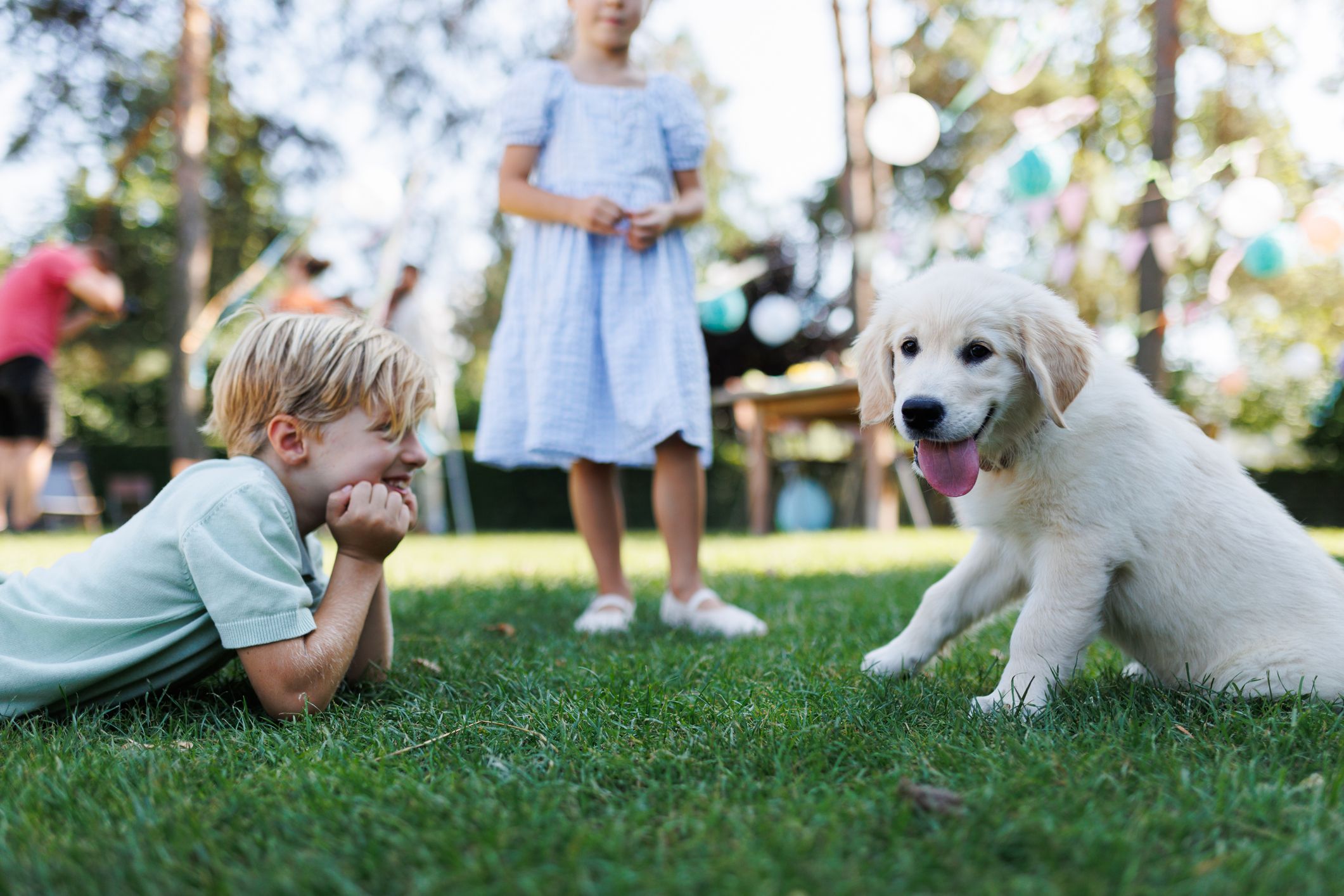 Niños jugando con un perro