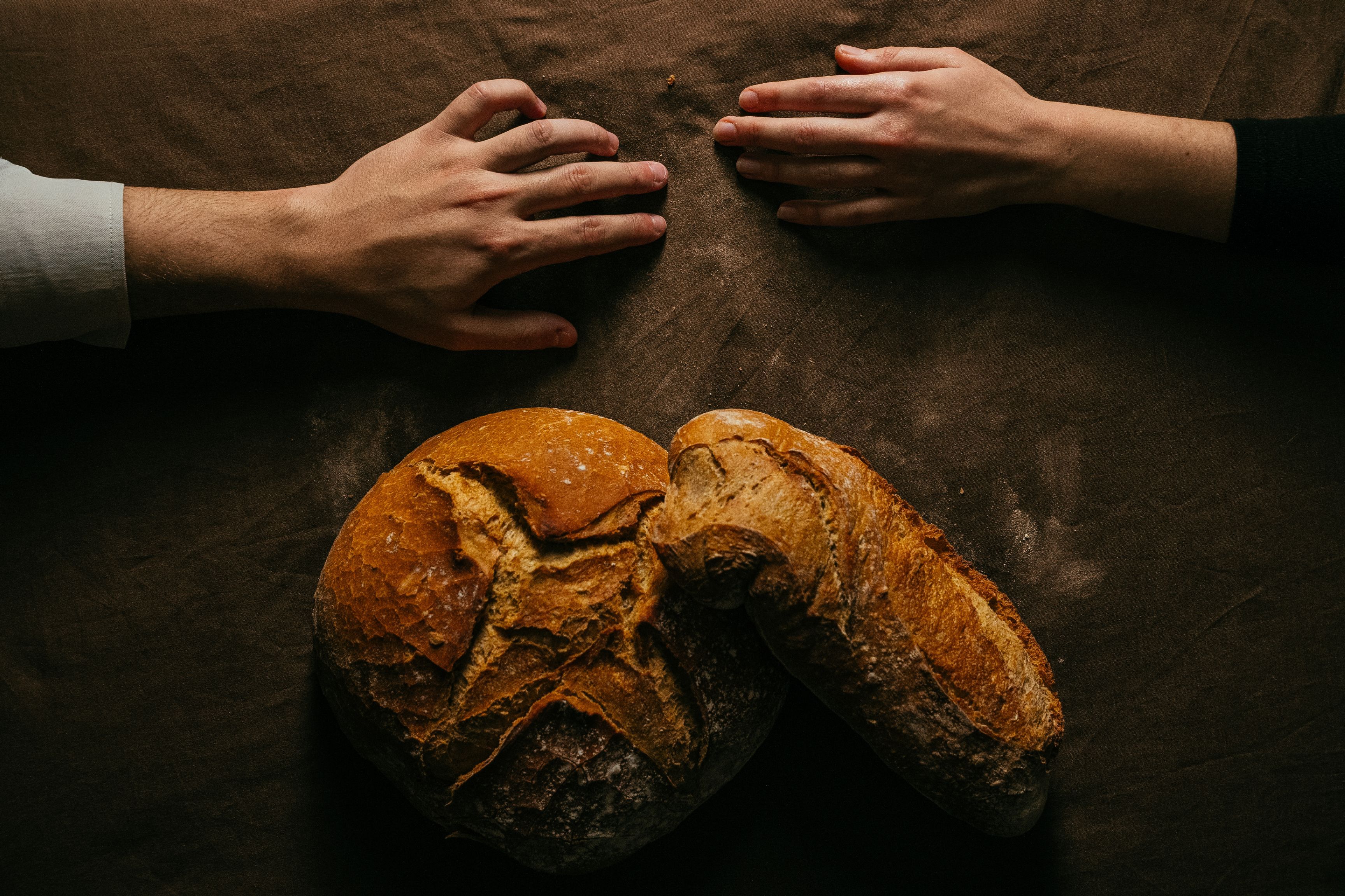 Llibre de Meravelles