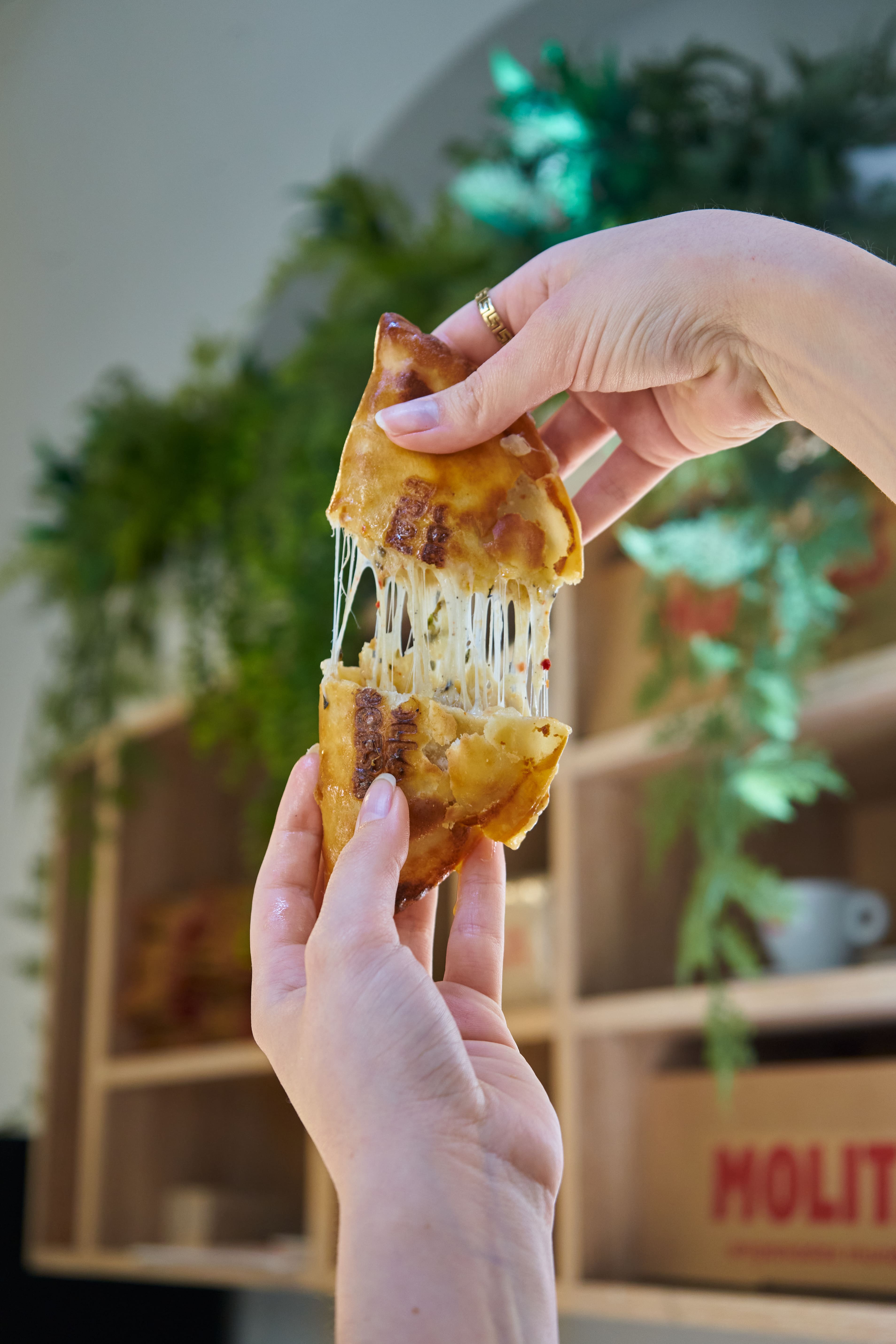 Empanadillas de Molitas