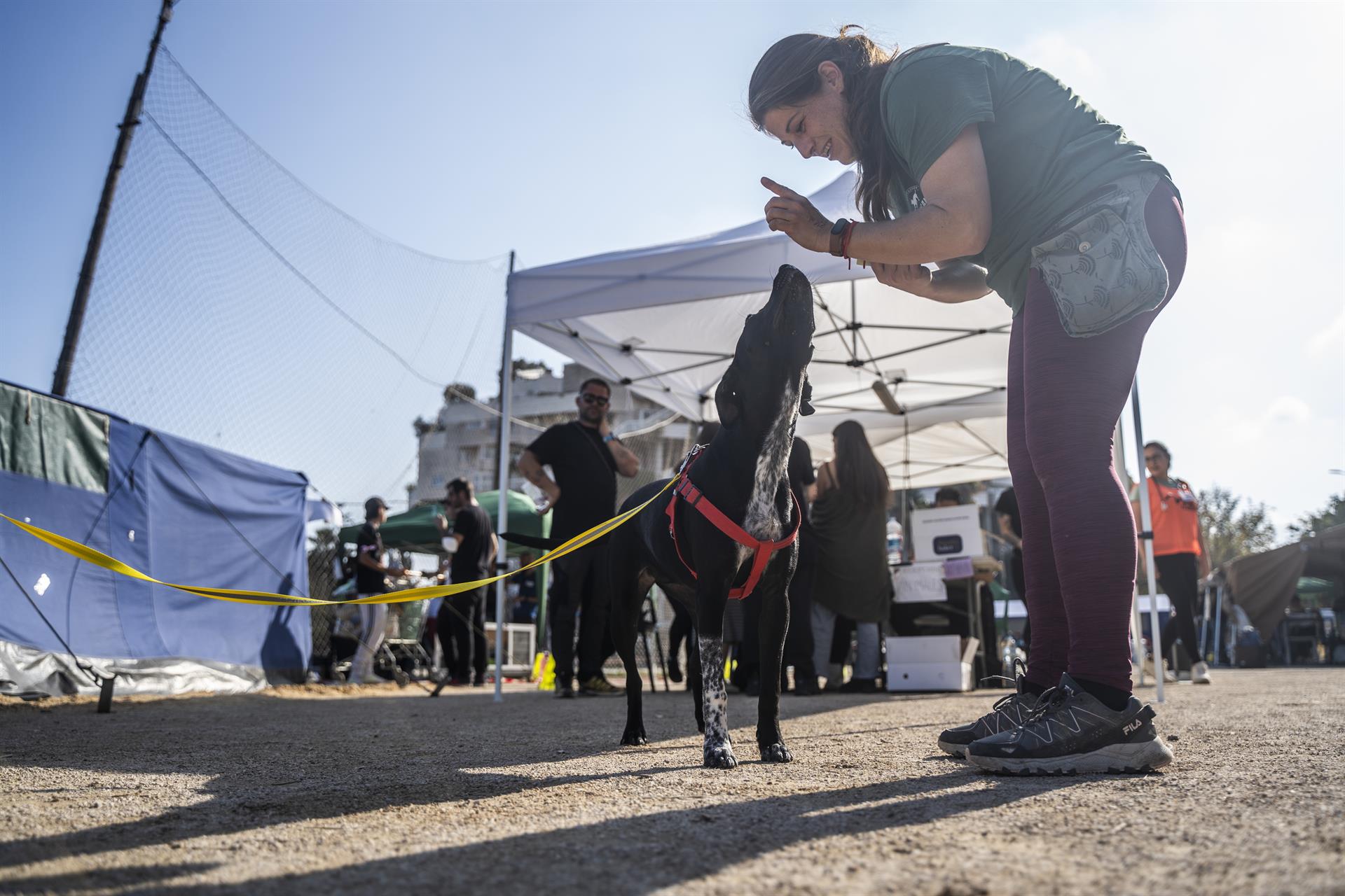 Un perro junto a una voluntaria del campamento solidario de animales en el campo de fútbol del CF Sporting Benimaclet. Foto de Jorge Gil