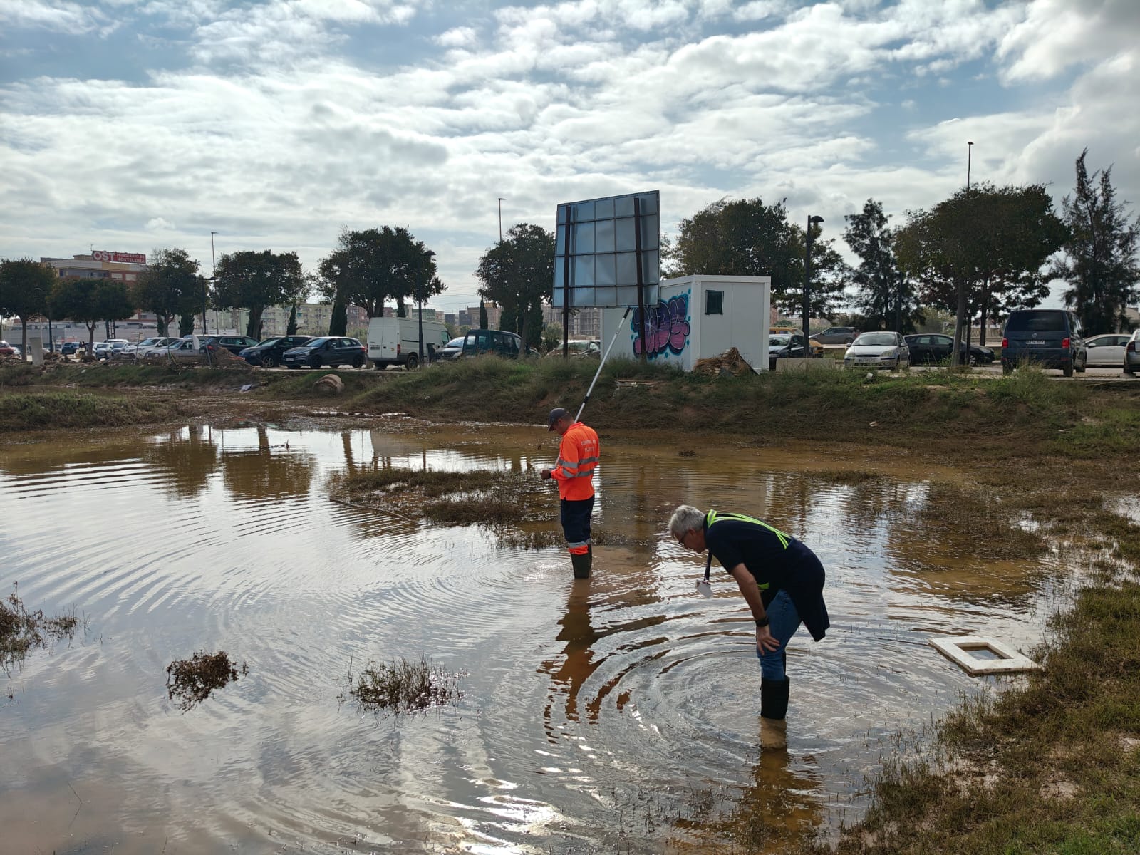 Control de plagas DANA Valencia