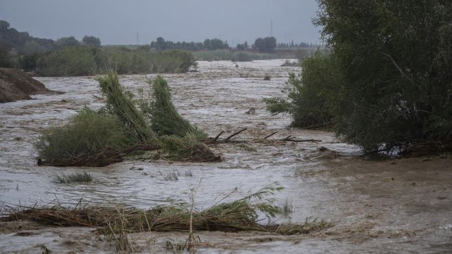 Crecida del río Magre, a 29 de octubre de 2024, en Alfarp, con la DANA (Jorge Gil Europa Press)