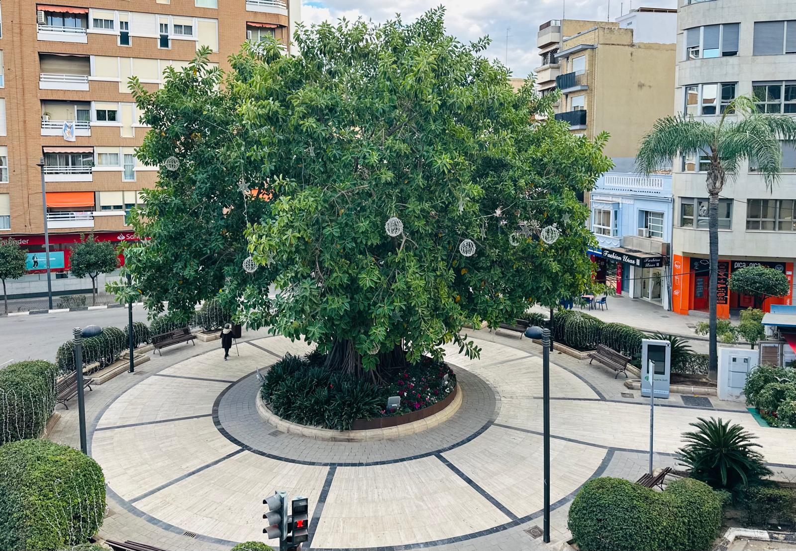 Arbre del Voluntariat a Torrent
