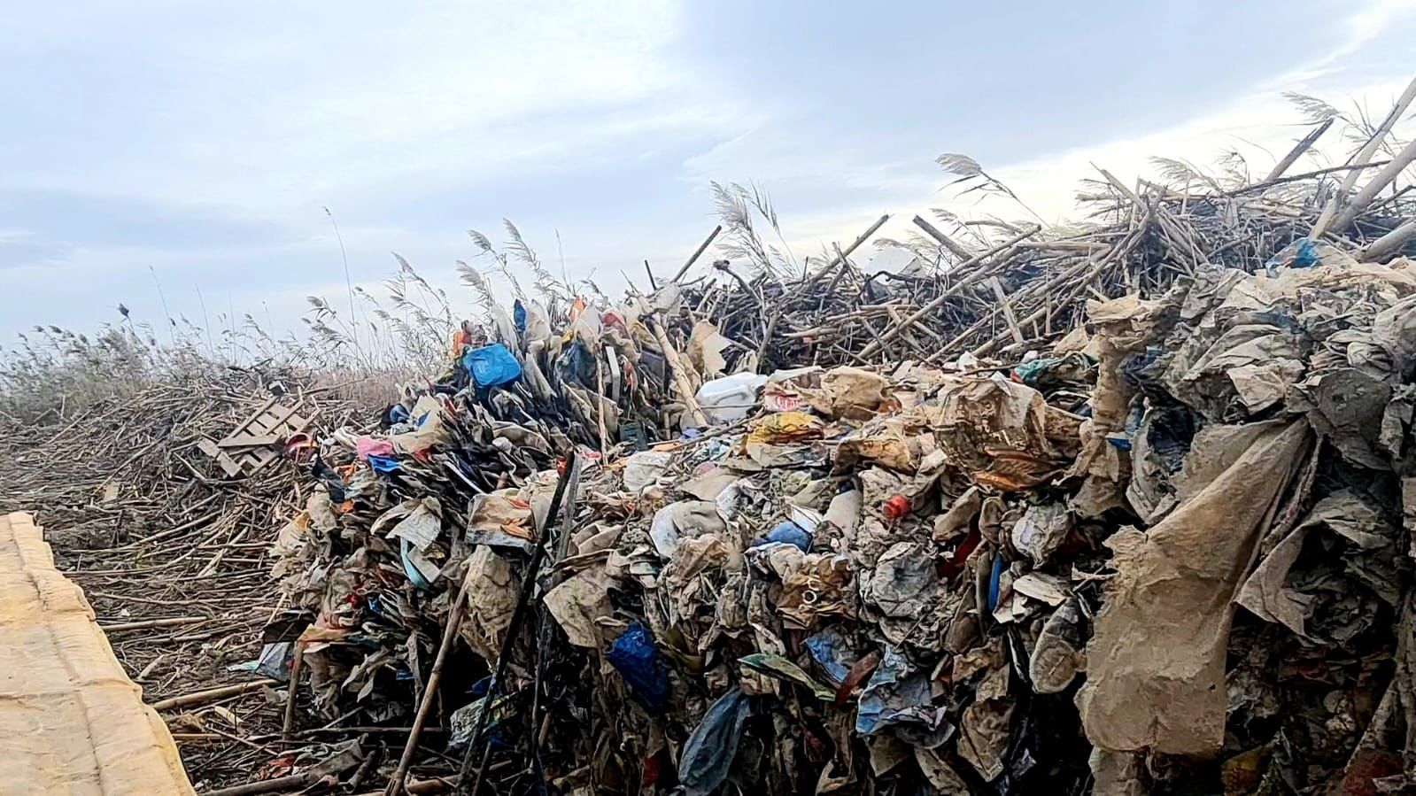 Inici neteja Albufera