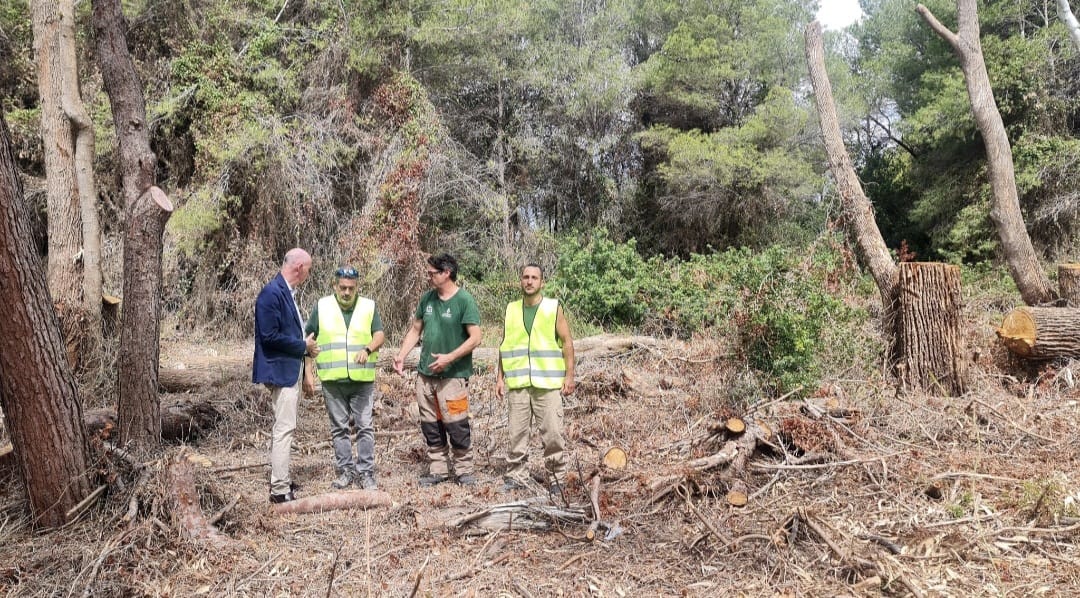 Treballs en la Dehesa Albufera 