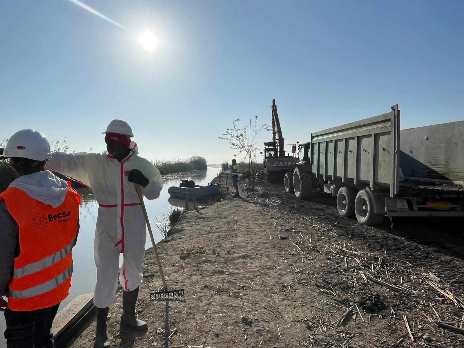 Neteja de l'Albufera 