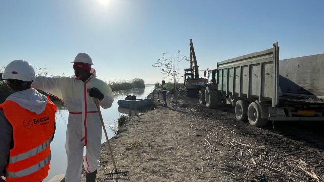 Limpieza de la Albufera Limpieza de la Albufera