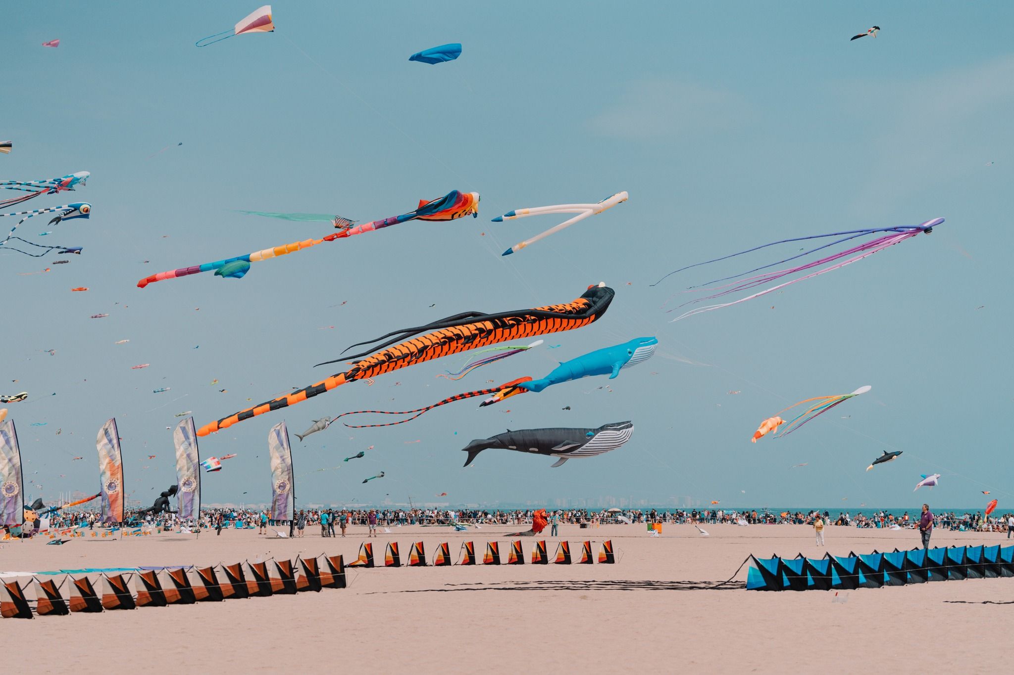 Festival Cometas Valencia /  Foto: Visit Valencia