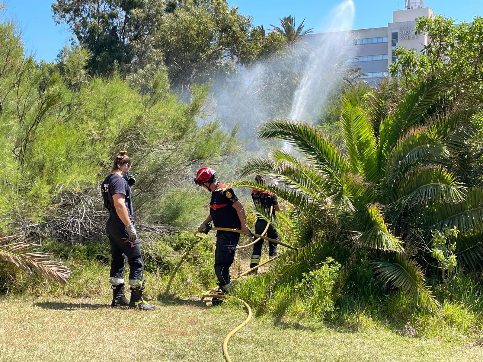 Escudo preventivo incendios Devesa