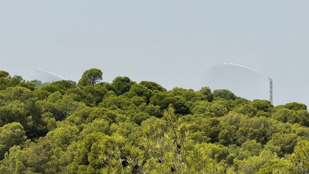 Cañones de agua contra incendios en el Vedat de Torrent
