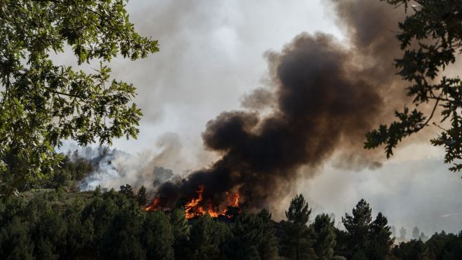 Imagen de un incendio forestal Foto deLeirao (GettyImages) Imagen de un incendio forestal Foto deLeirao (GettyImages)