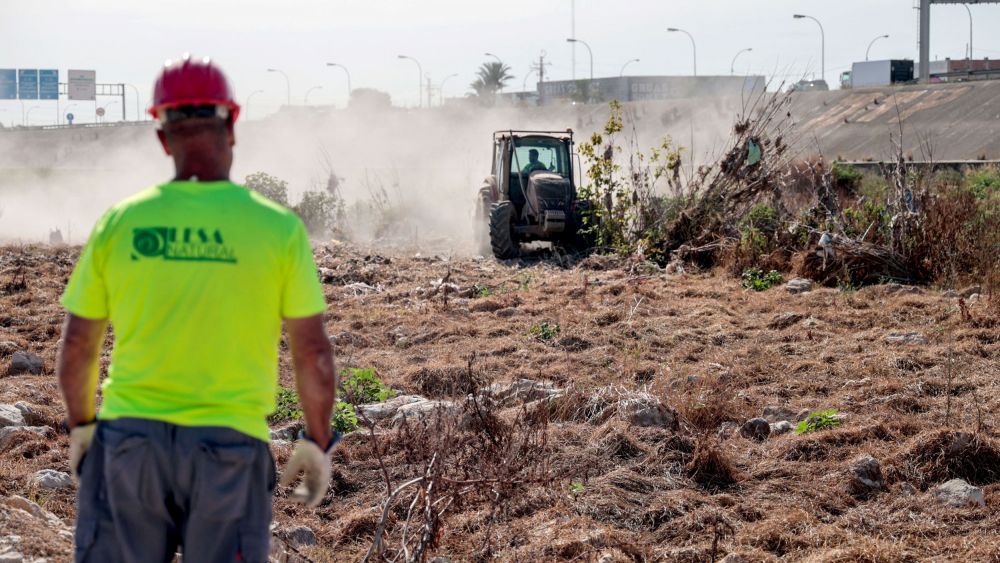 Limpieza del cauce del río Turia Limpieza del cauce del río Turia