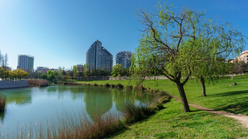 Paisatge del Parc de Capçalera a la ciutat de València amb zones verdes i edificis al fons. Foto de GettyImages, crèdit a Eva Diana López Paisatge del Parc de Capçalera a la ciutat de València amb zones verdes i edificis al fons. Foto de GettyImages, crèdit a Eva Diana López