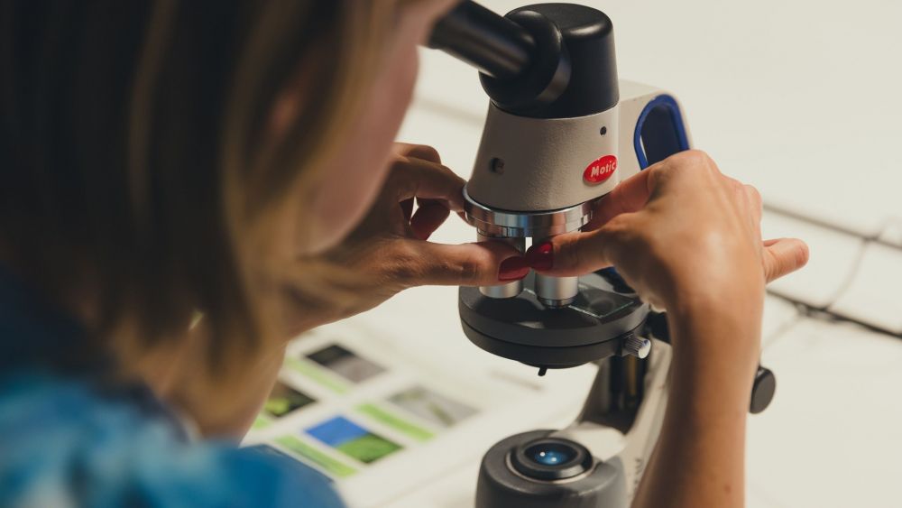 Un taller en la Nit de la Investigació en CaixaForum
