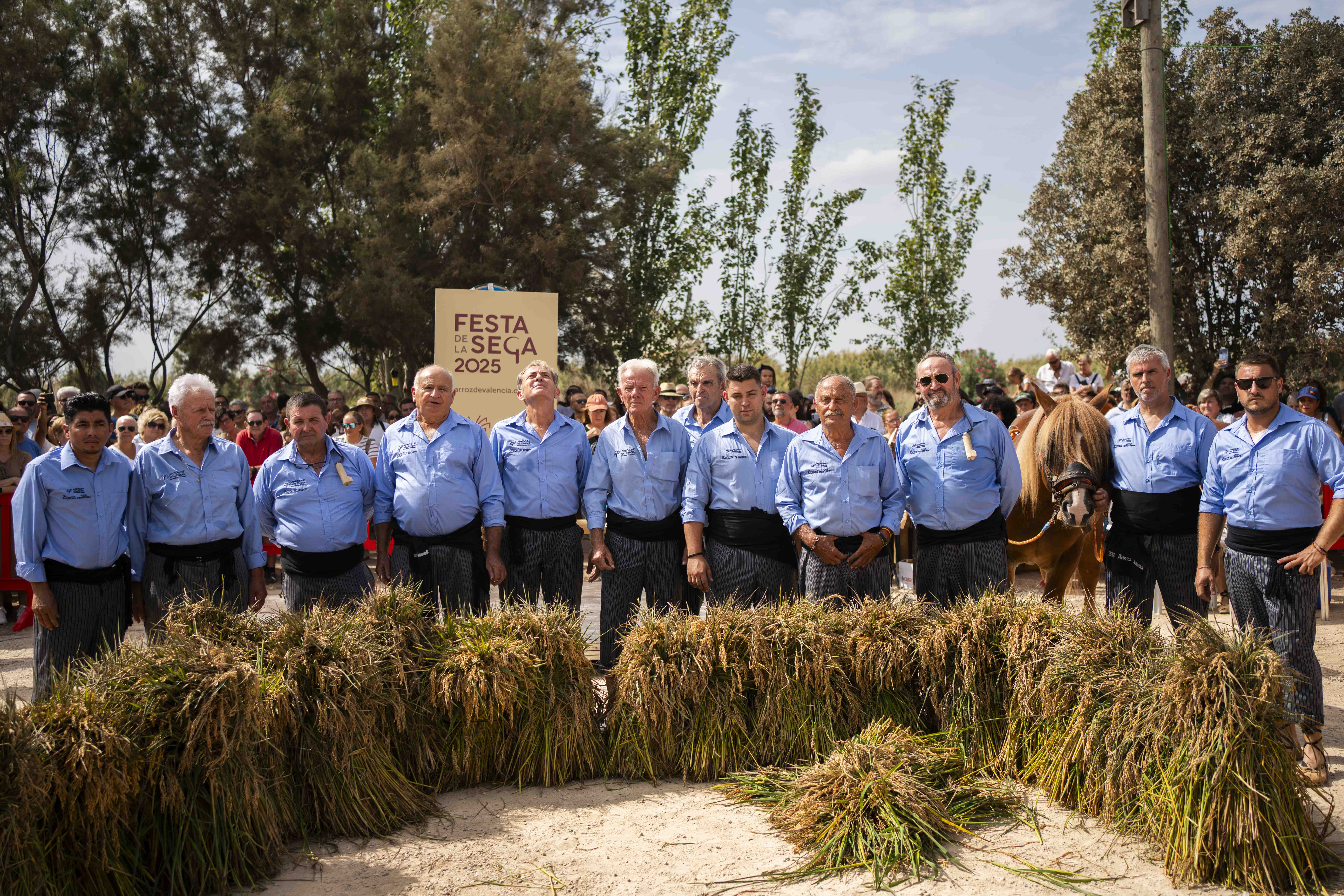 Fiesta de la Siega del arroz en Catarroja 