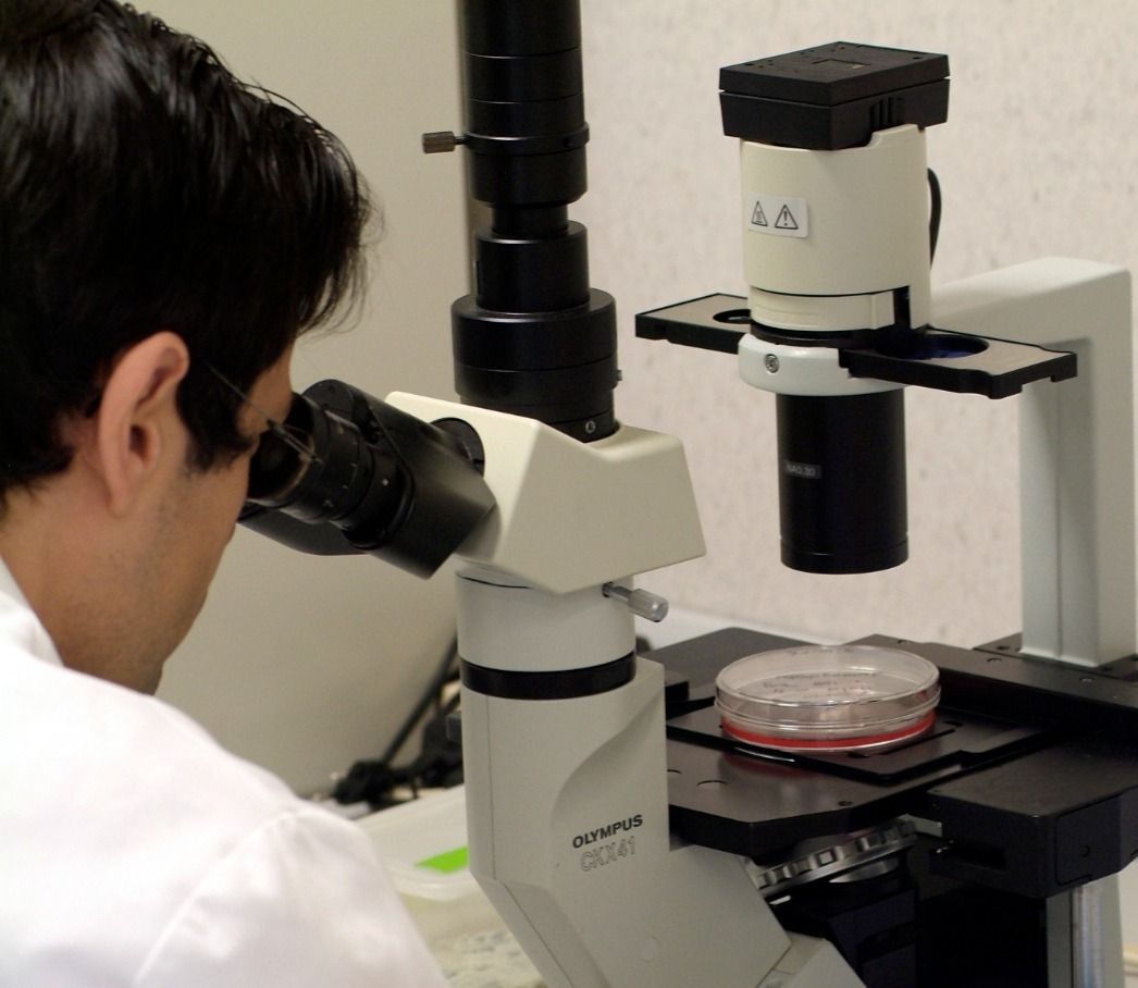 Un investigador usant un microscopi