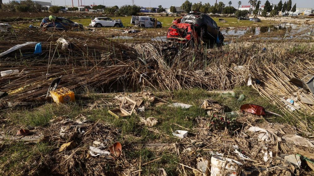 Restes de la DANA en un camp d'arrossars - Foto: Rober Solsona - Europa Press