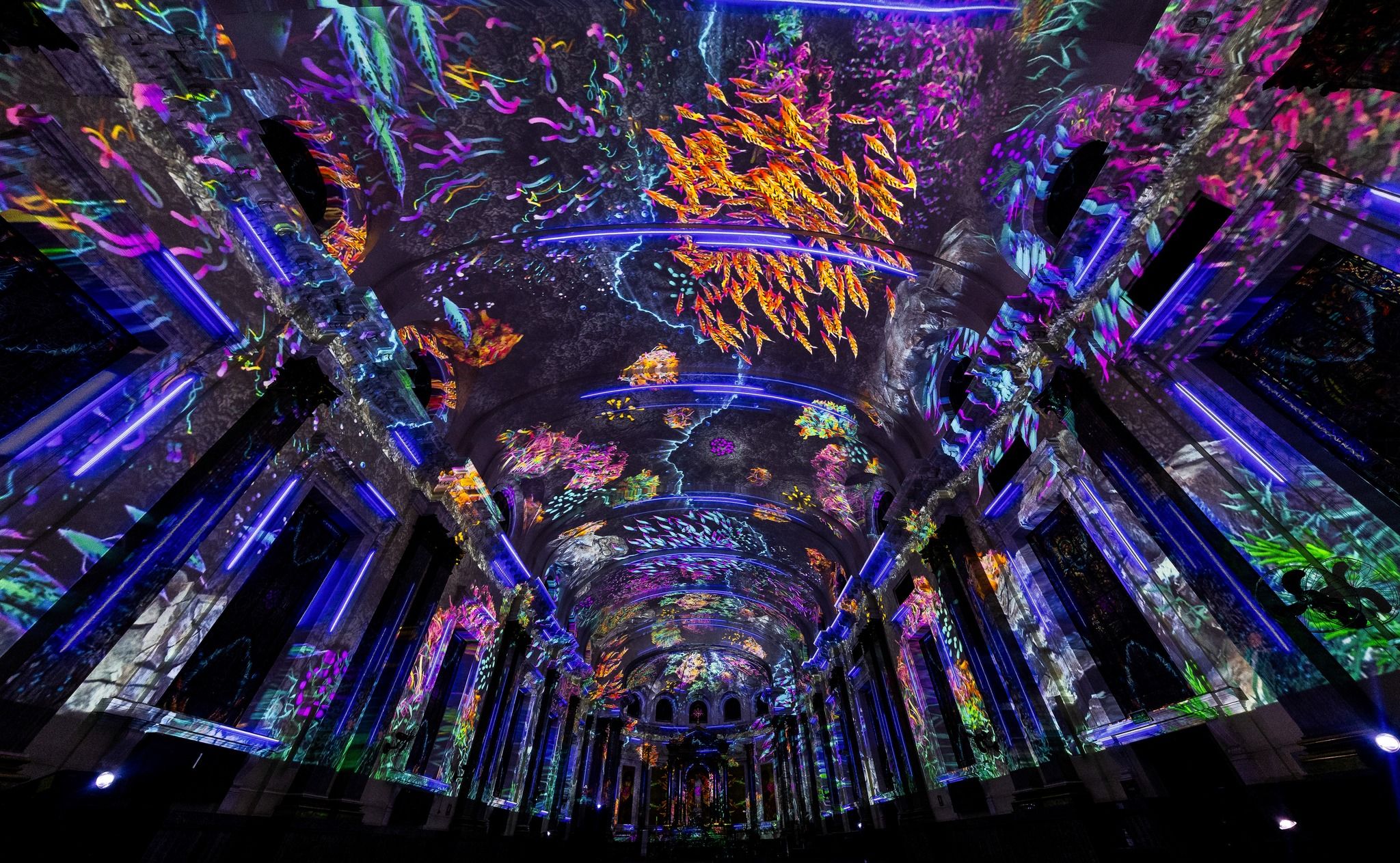 Espectacle immersiu de llums. Foto: Facebook Eonarium