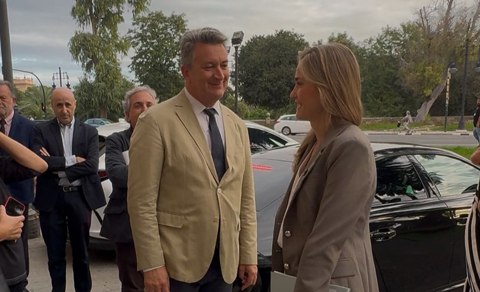 El conseller de Medi Ambient, Infraestructures i Territori, Vicente Martínez Mus El conseller de Medi Ambient, Infraestructures i Territori, Vicente Martínez Mus