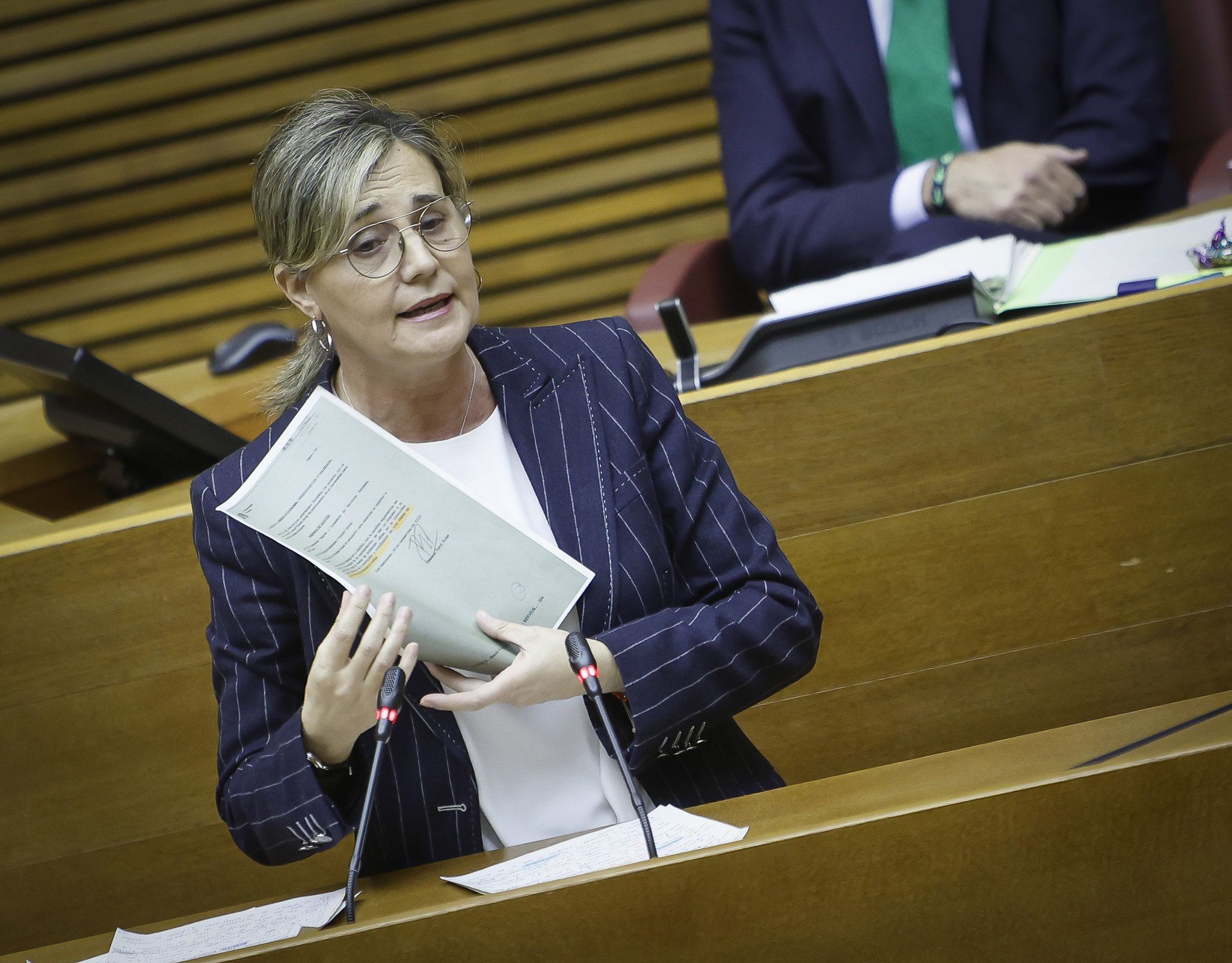 Elena Bastidas al ple de les Corts