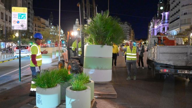  Inici substitució jardineres plaça Ajuntament València