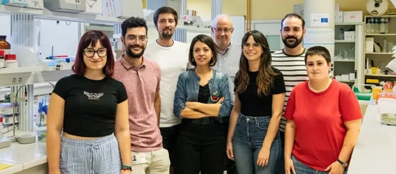 Investigadors de l'Institut IDM en la Universitat Politècnica de València
