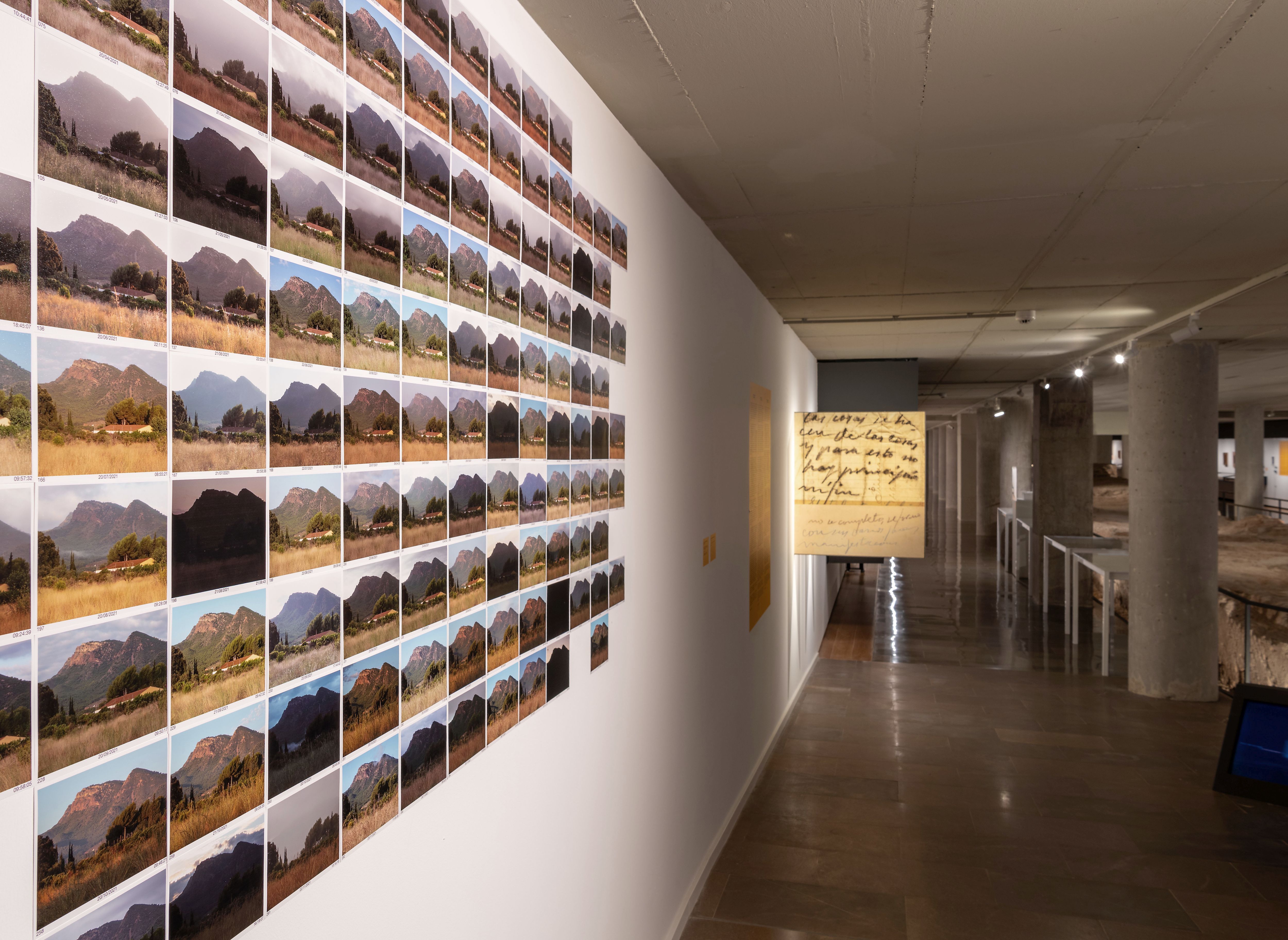 Exposició de Manuel Bellver en l'IVAM