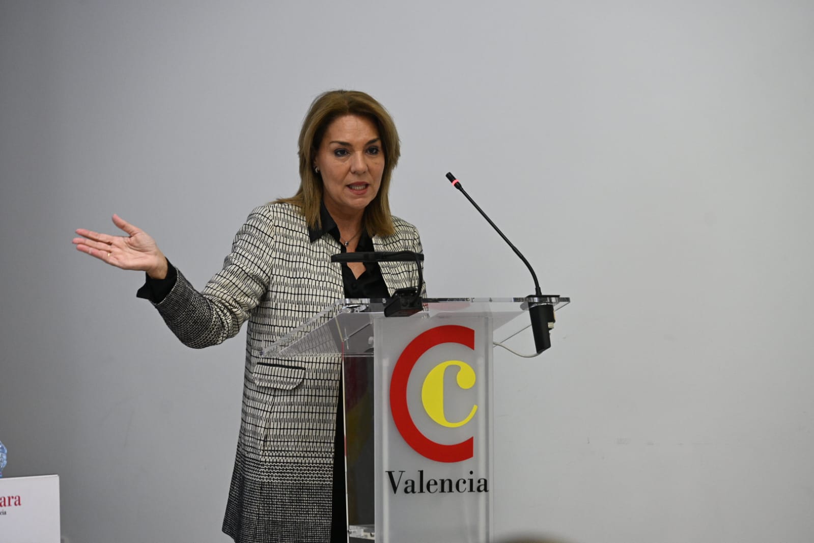 La vicepresidenta primera i consellera de Serveis Socials, Igualtat i Vivenda, Susana Camarero
