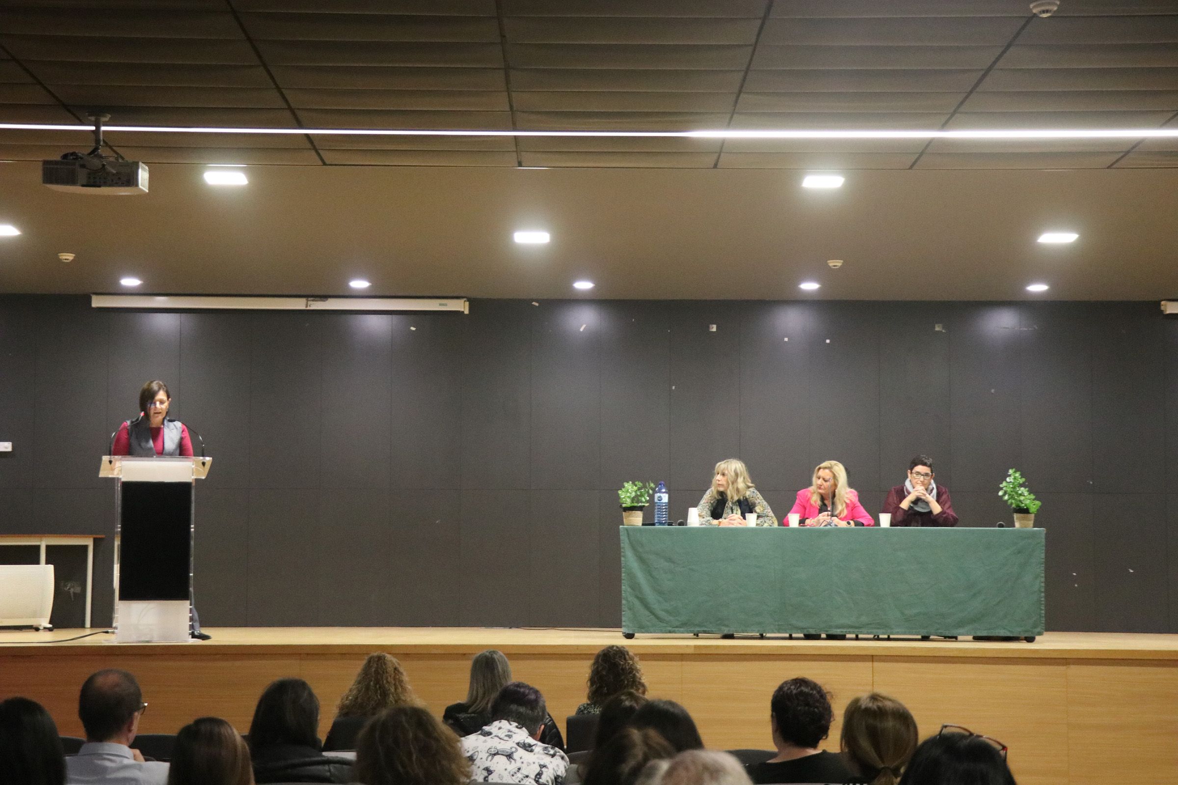 Jornada de violencia vicaria en Llíria