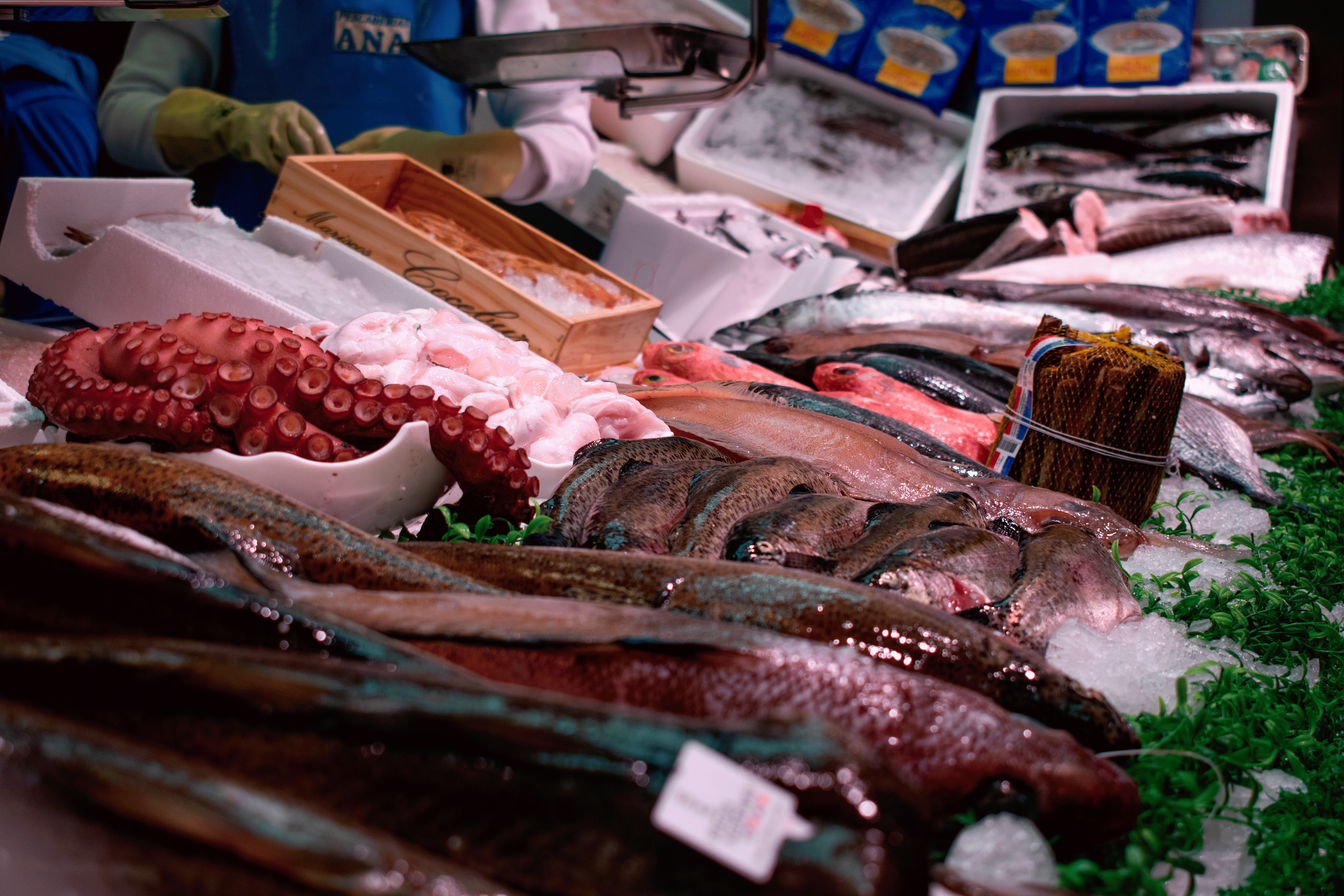 Pescadería valenciana - Imagen de AMIPEVAL Pescadería valenciana - Imagen de AMIPEVAL