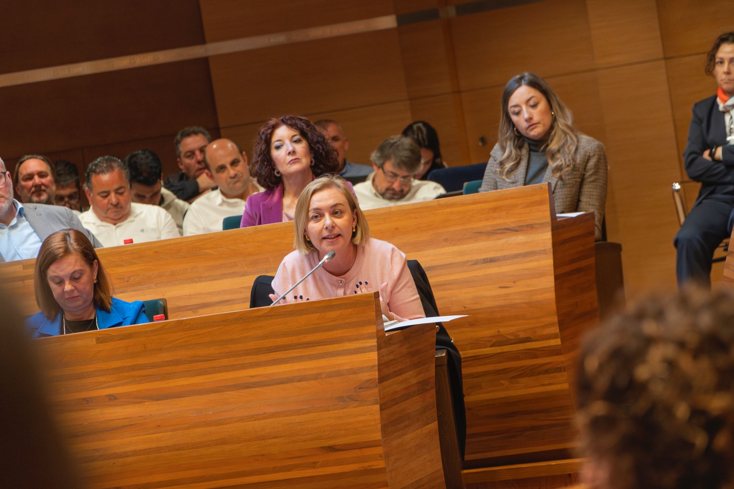 La vicepresidenta de la Diputació de València, Natàlia Enguix La vicepresidenta de la Diputació de València, Natàlia Enguix